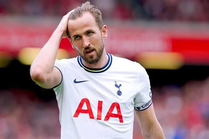 harry kane champions league The Independent.scorimg