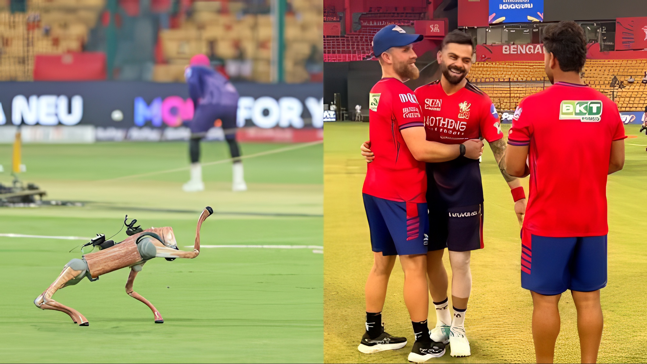 Virat Kohli Raises Concerns Over Privacy Issues Involving Champak