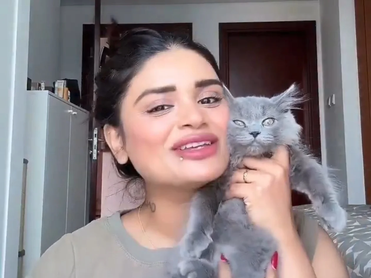 ‘GG’ Enters the Family Iyer’s Sister Shares Adorable Cat Moment