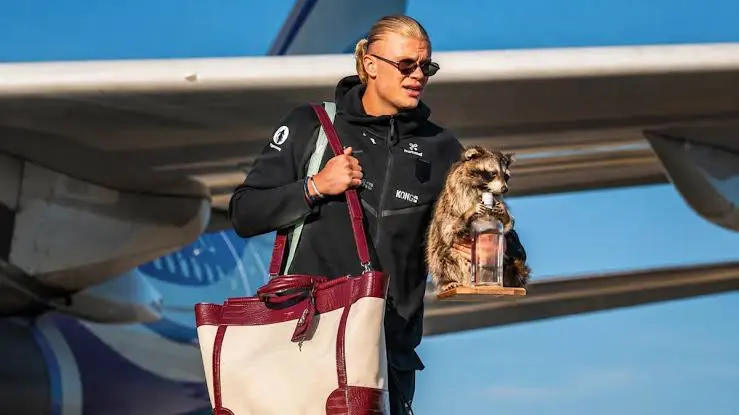 Erling Haalands Raccoon Steals Spotlight During Norways World Cup Homecoming