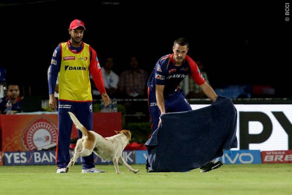 IPL 2016 | Twitter reacts as Dinda takes a wicket maiden and a dog interrupts the match