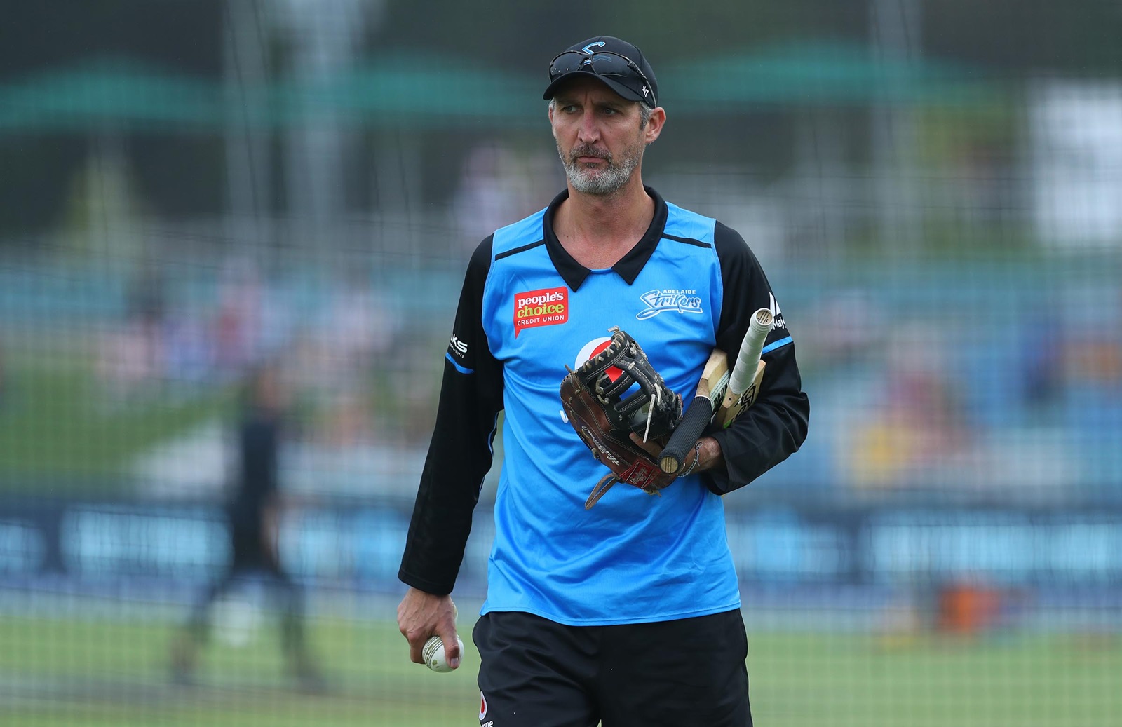 'I am not putting myself up for any job', says Jason Gillespie on Australia coaching role