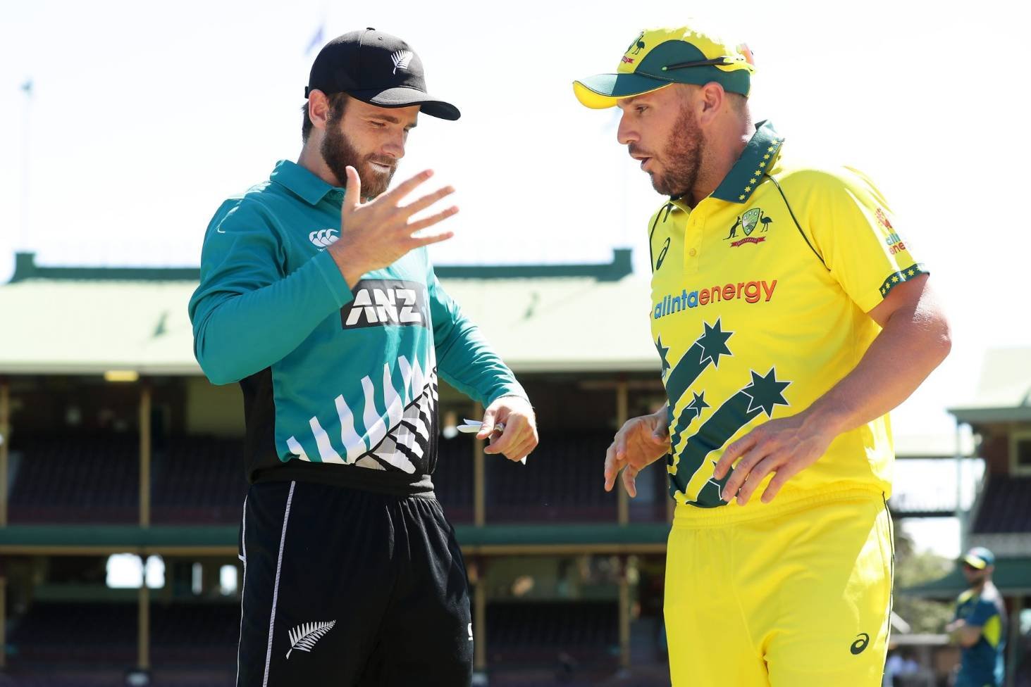 Australia's T20I tour of New Zealand cancelled 