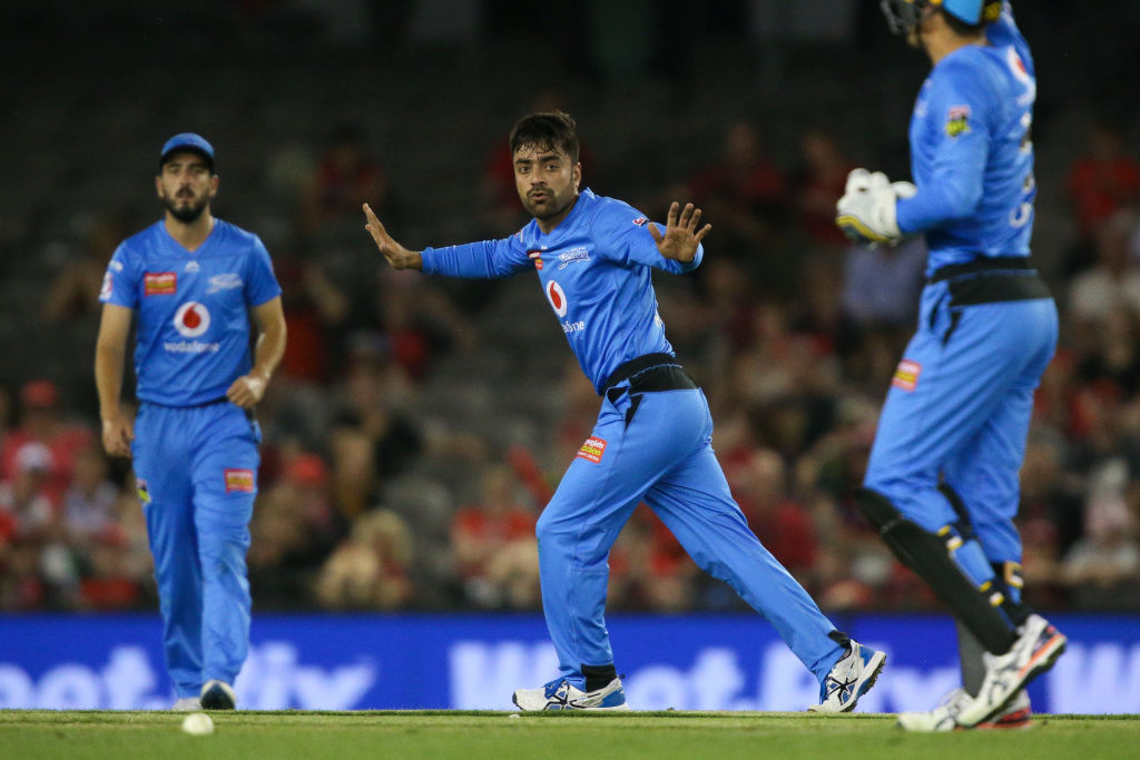 VIDEO | Prankster umpire denies LBW by bamboozling Rashid Khan with ‘nose-itch’ in BBL game