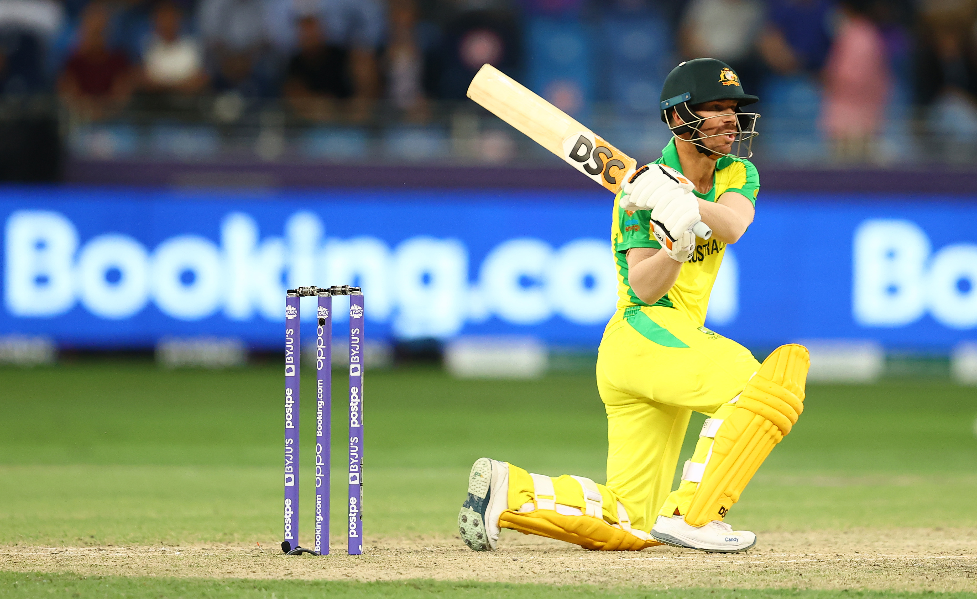 T20 World Cup 2021 Final | Definitely up there with 2015 World Cup win, says David Warner as Australia clinch maiden T20 WC