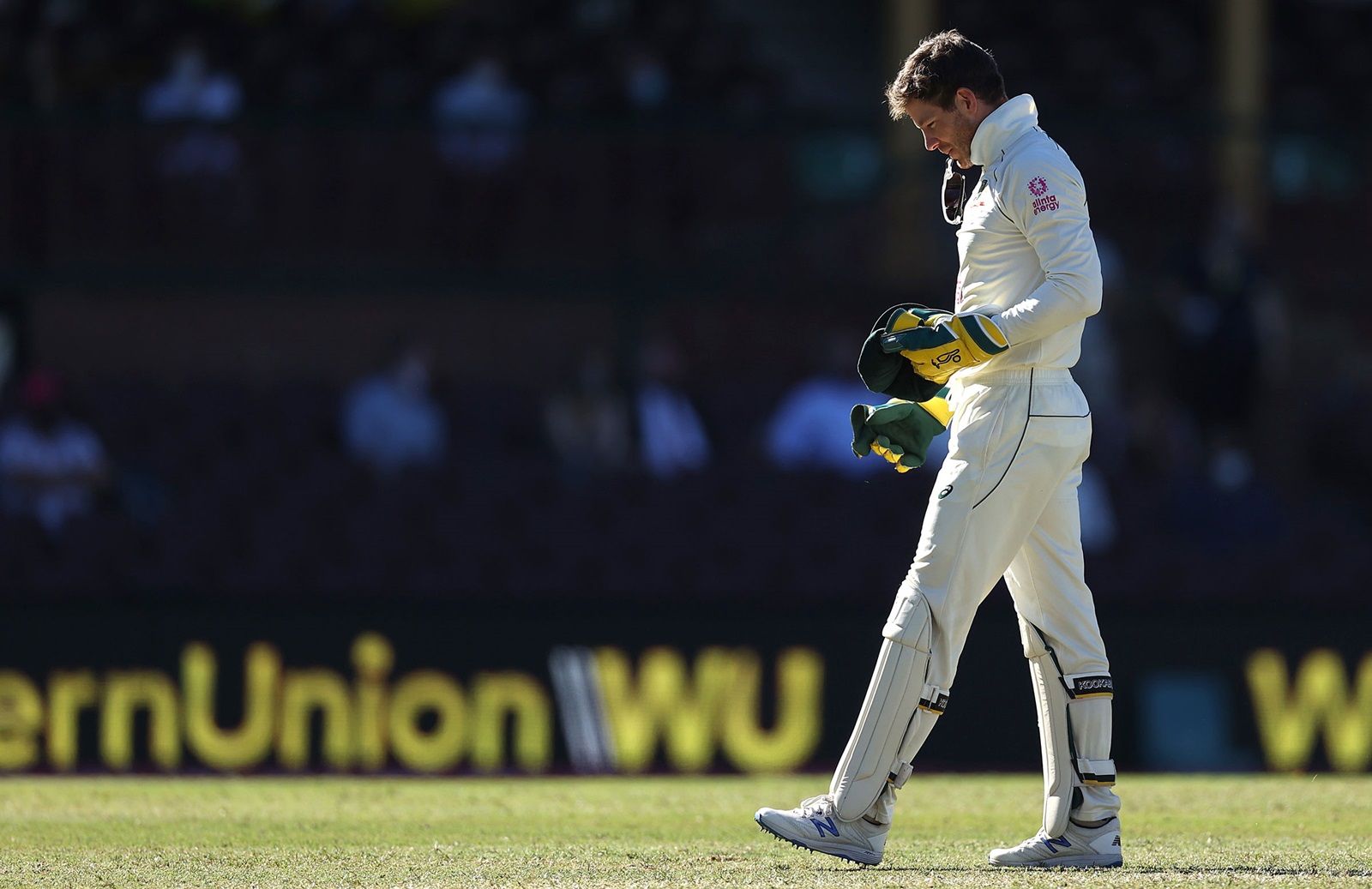 IND vs AUS | Sydney Test was a poor reflection of my leadership and I want to apologise, expresses Tim Paine