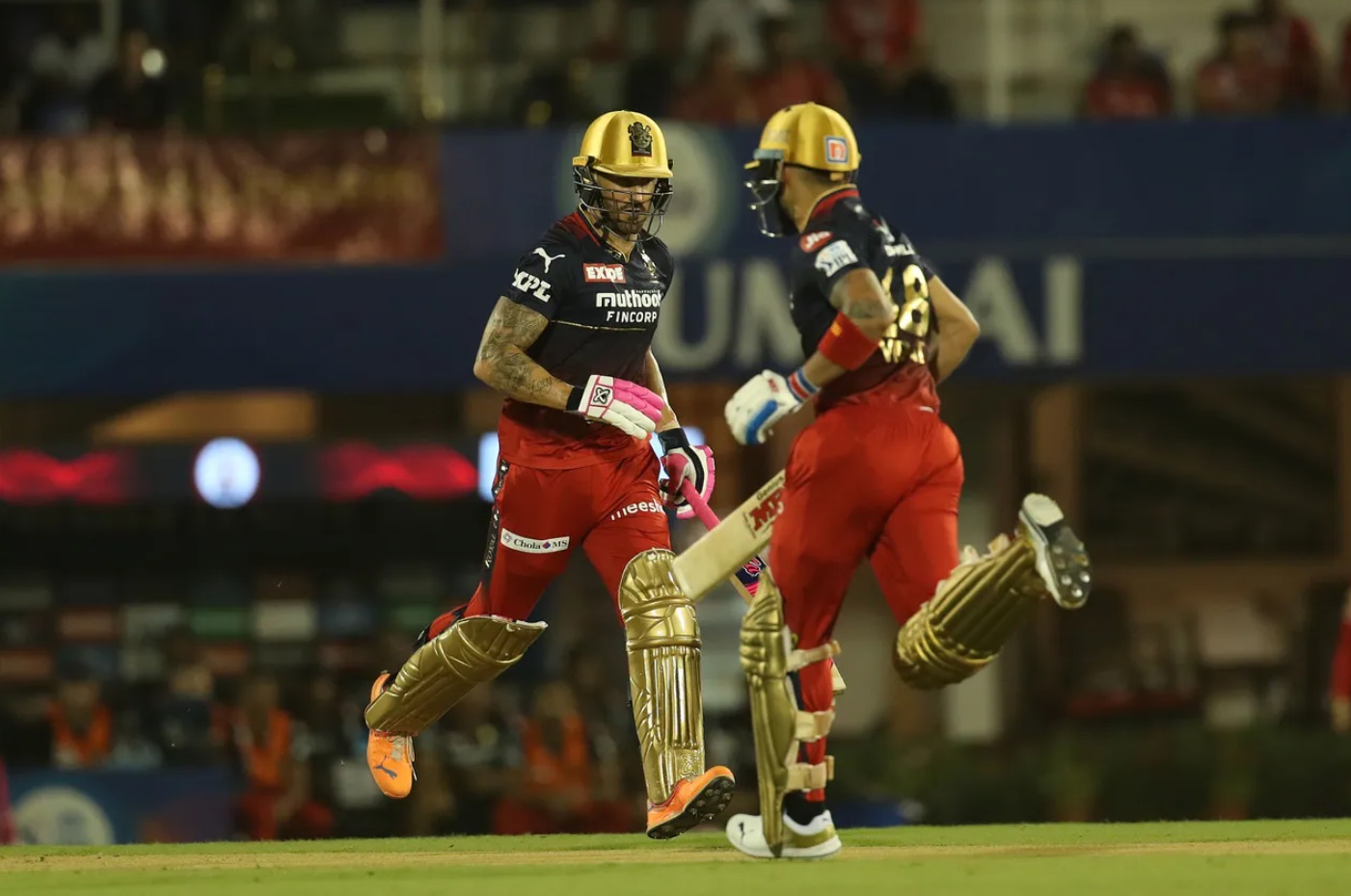 IPL 2022, RCB vs PBKS | Twitter reacts as black cat interrupts game by sitting on sightscreen