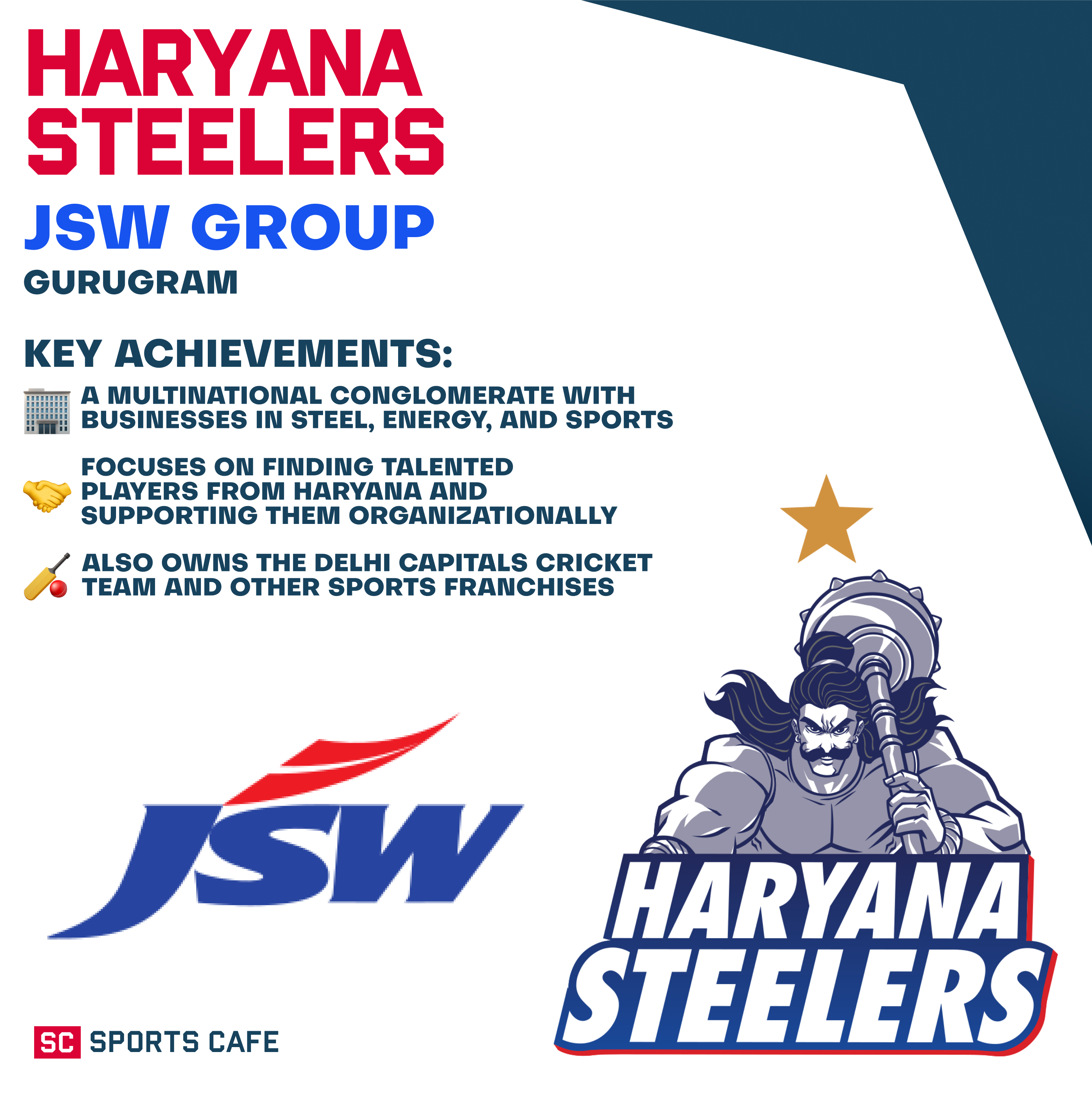JSW Group – Haryana Steelers.