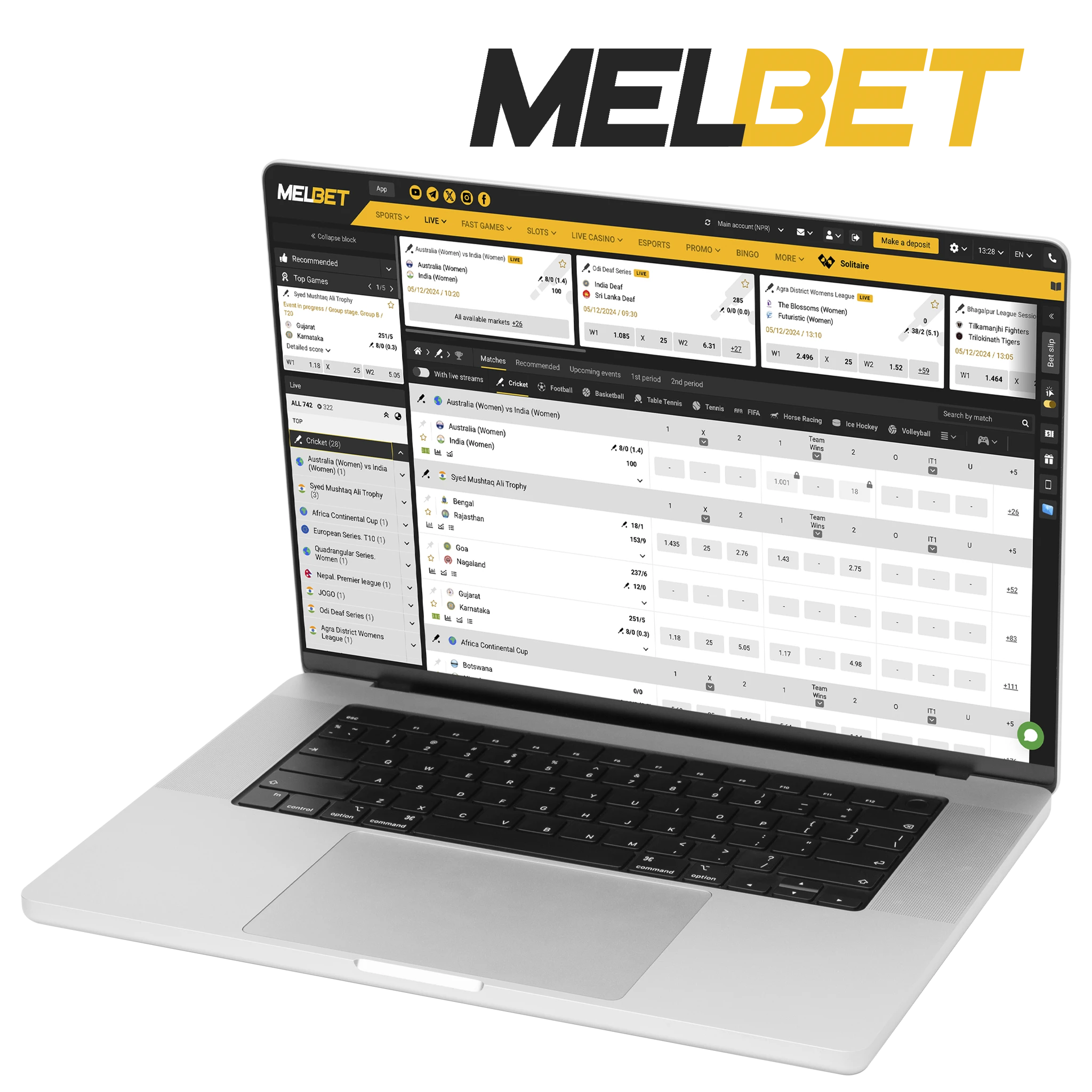 A plethora of payment methods await you on the Melbet cricket betting website.