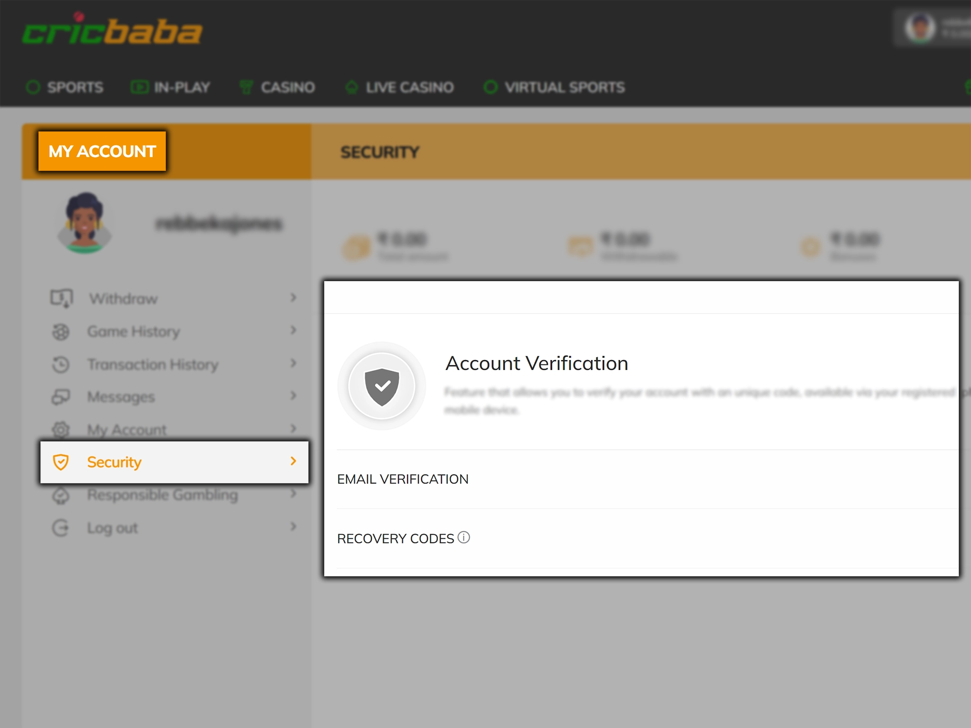 Provide identification documents to verify your Cricbaba account.