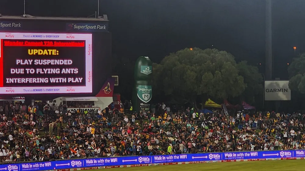 SA vs IND | Twitter rolls its eyes as flying ants ‘buzz’ in to halt South Africa’s run chase