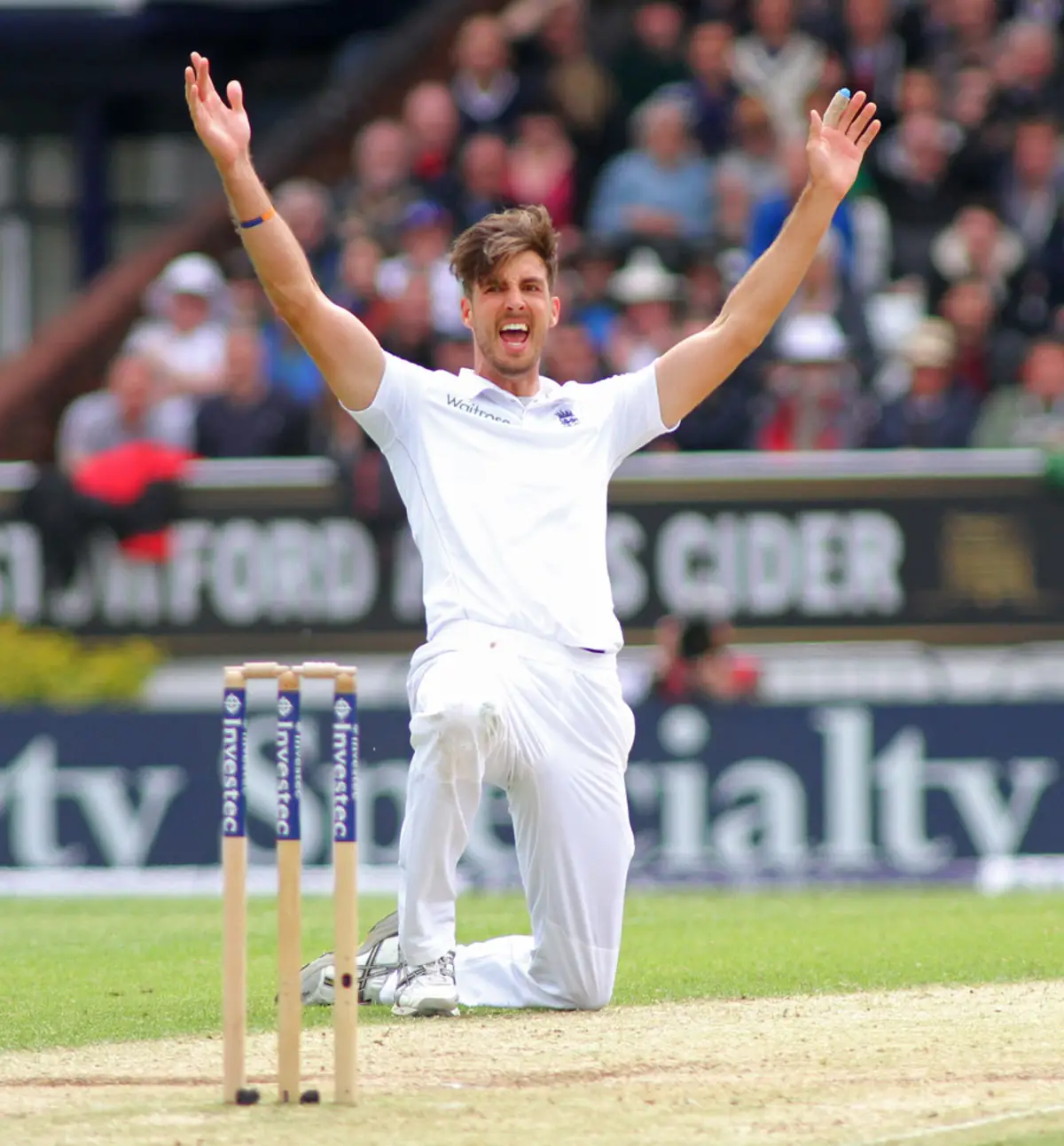 Steven Finn calls it a day after 'admitting defeat' to injuries