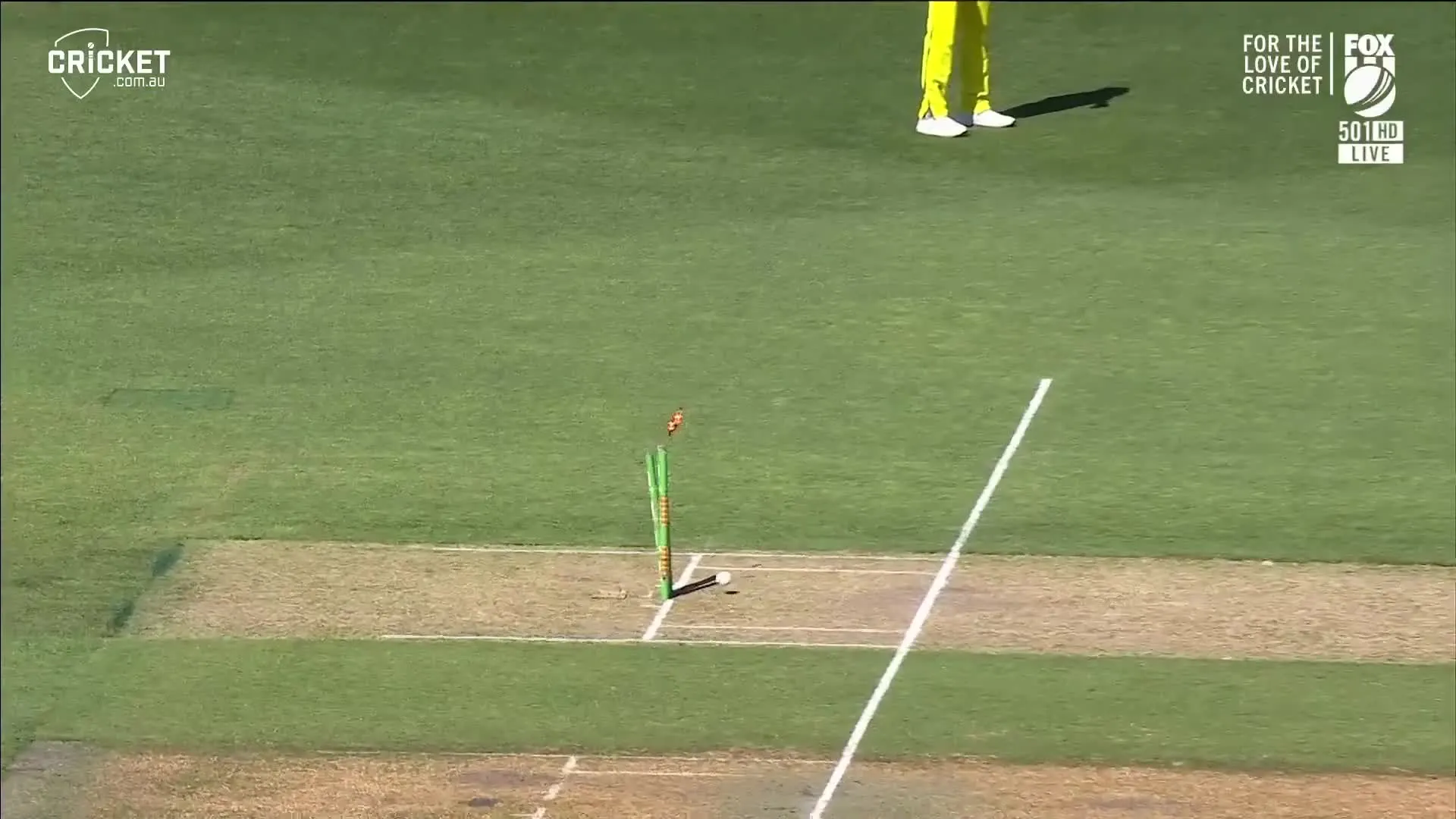 AUS vs ENG | Twitter draws Ricky Ponting comparisons after Ashton Agar's rocket throw to run out Liam Dawson