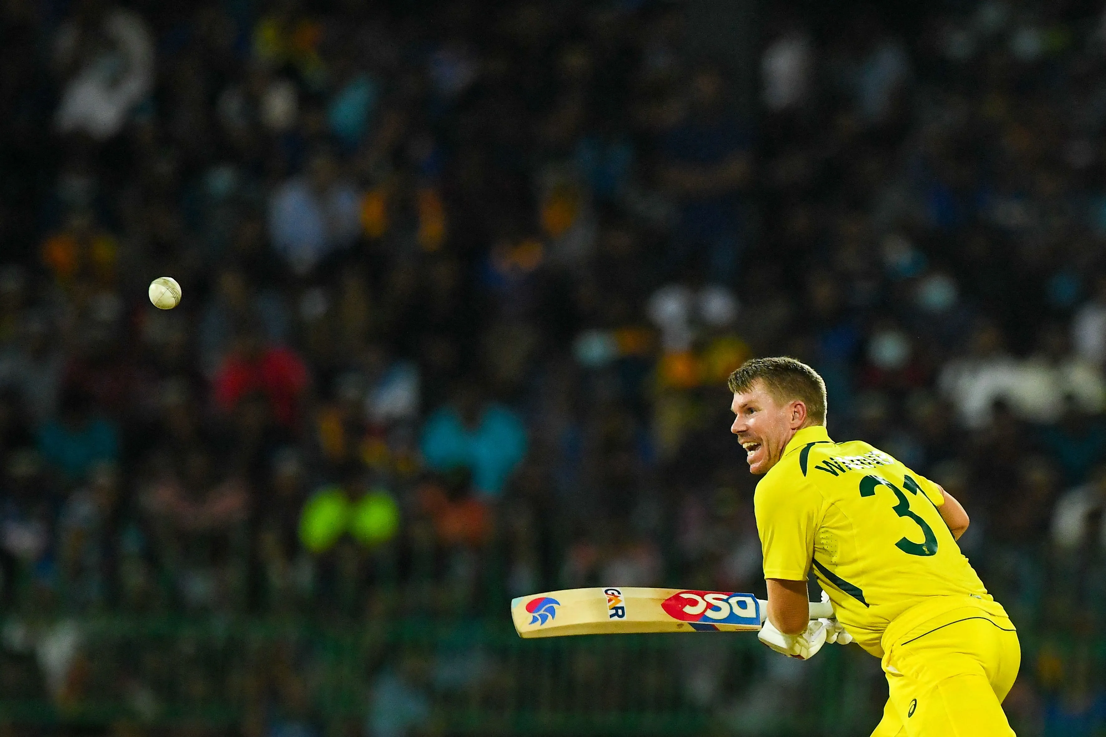 AUS vs ENG | Twitter reacts to endearing David Warner proving his case for  captaincy with heart-winning gesture for fan