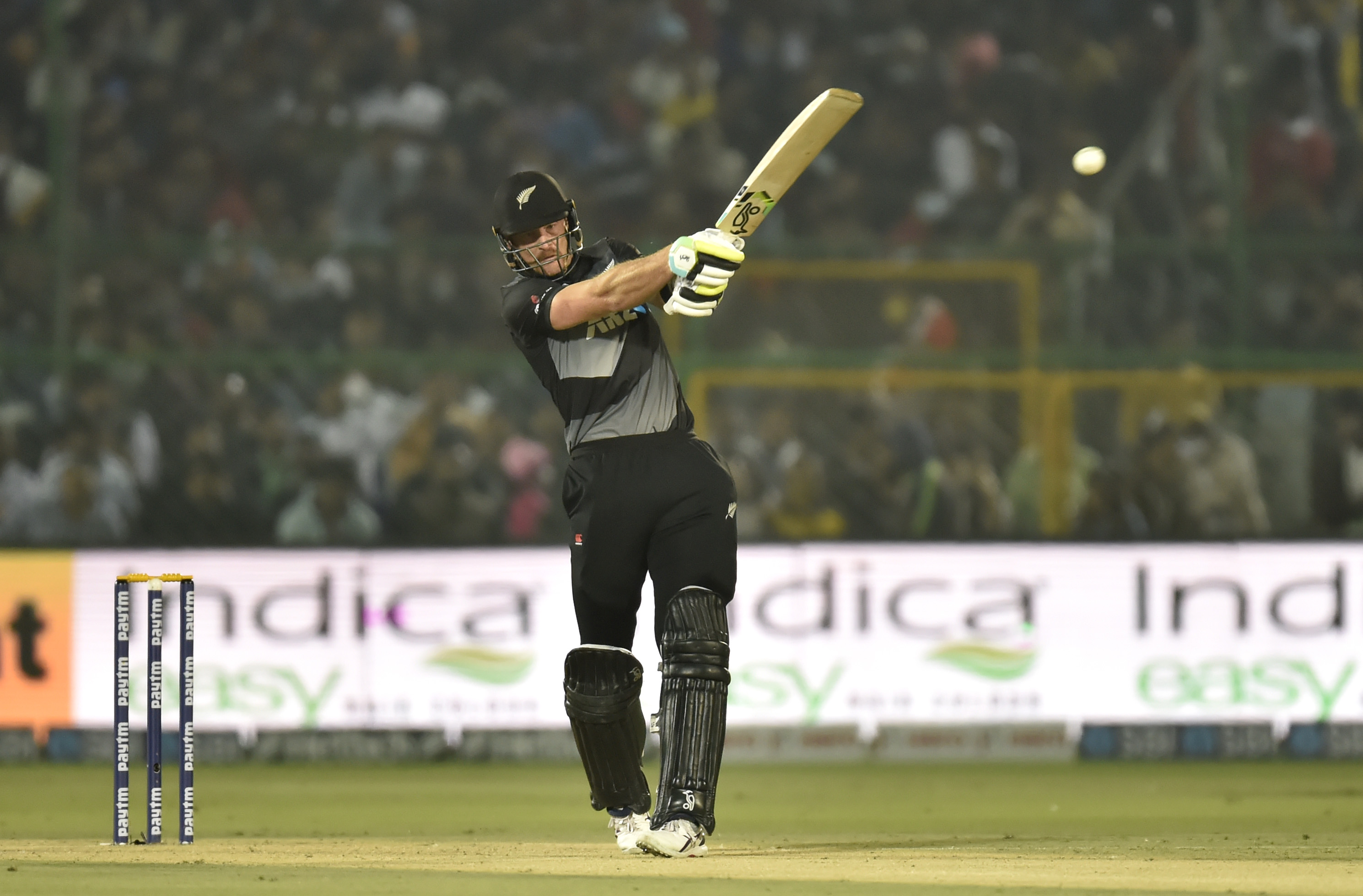 BBL 2022-23 | Martin Guptill joins Melbourne Renegades after being released from New Zealand central contract 