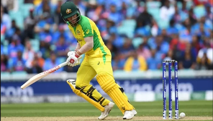 David Warner looking as the Ball Hits the Stump, But the Bails Stay On!