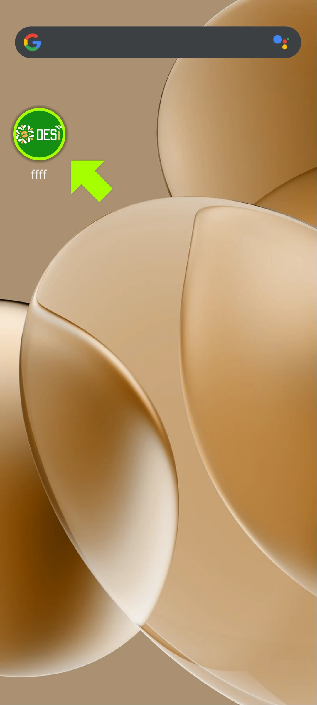 Launch the Desi App on your device to begin.