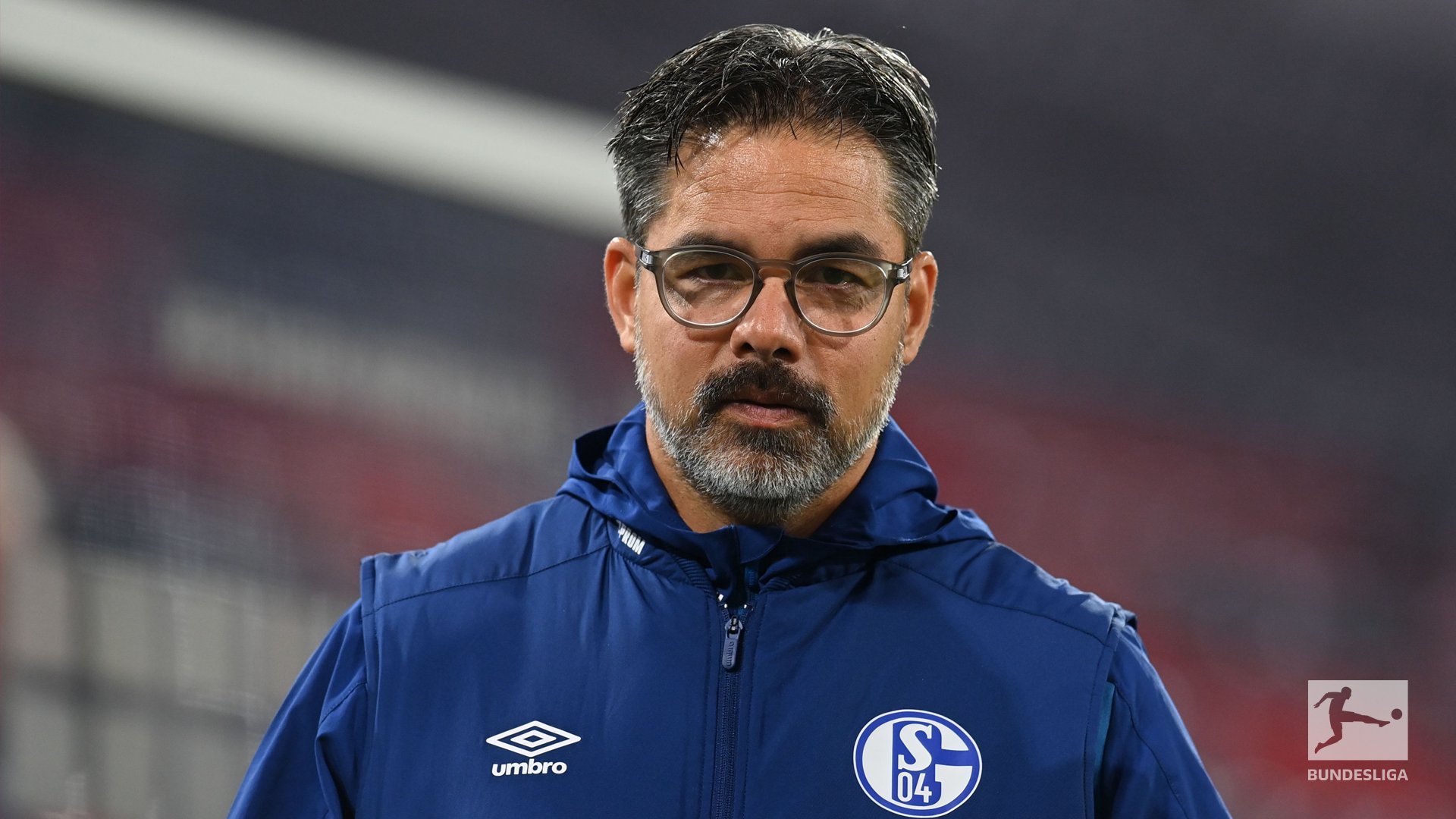 Schalke 04 part-ways with David Wagner after eighteen game winless run