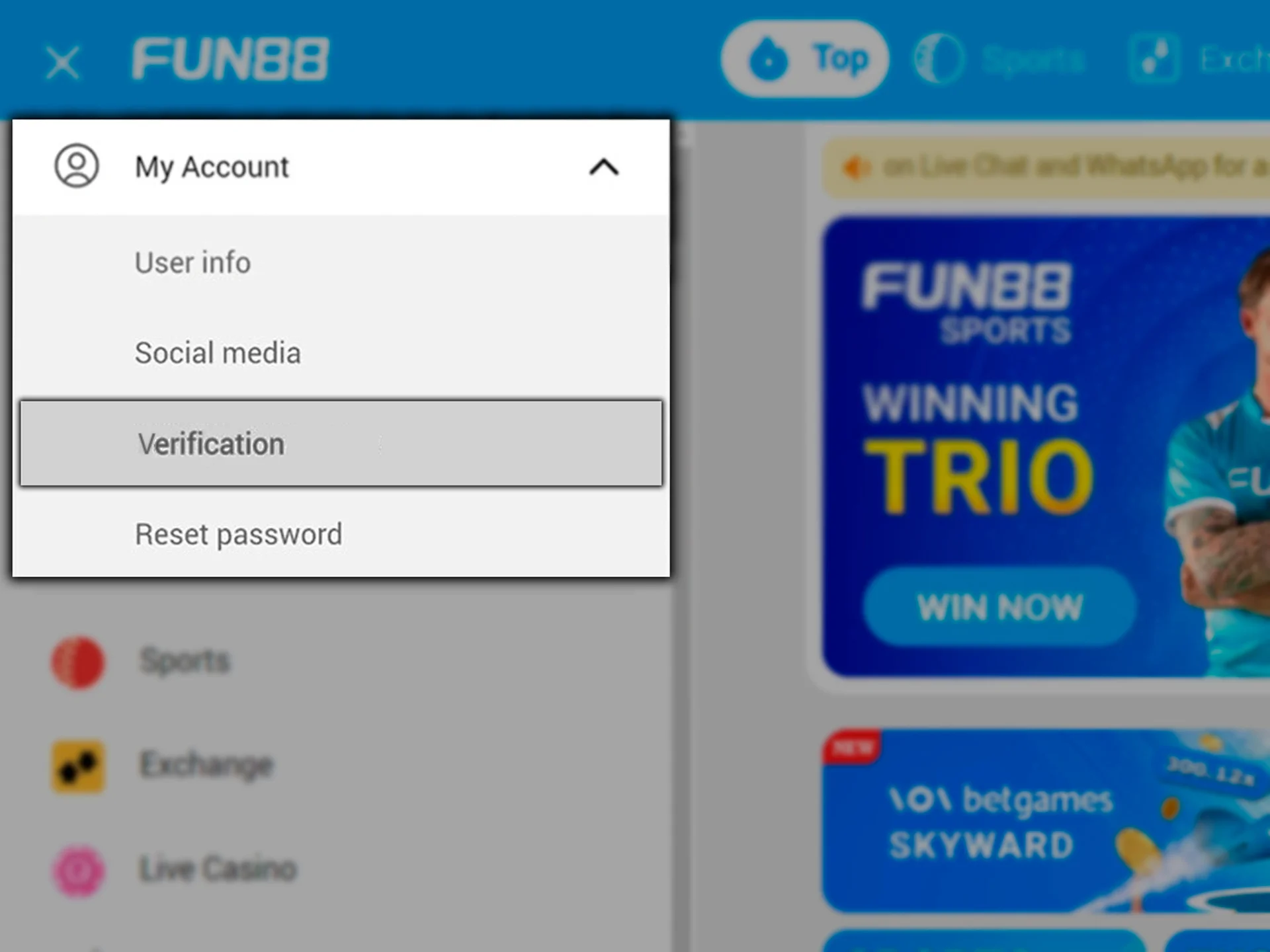 Complete the Fun88 profile verification process before making a deposit and placing bets.