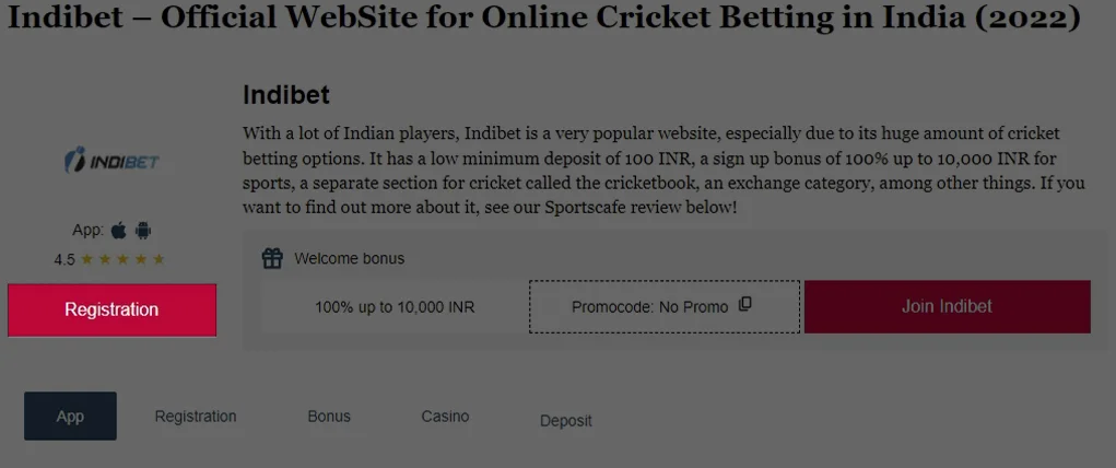 Go to the official website of Indibet using our link.