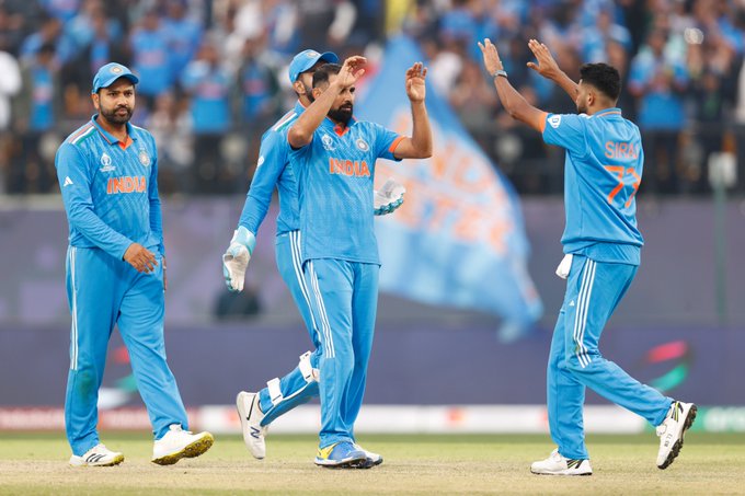 IND vs NZ | Twiiter in celebrations as Mohammed Shami and Virat Kohli leads India to victory over New Zealand
