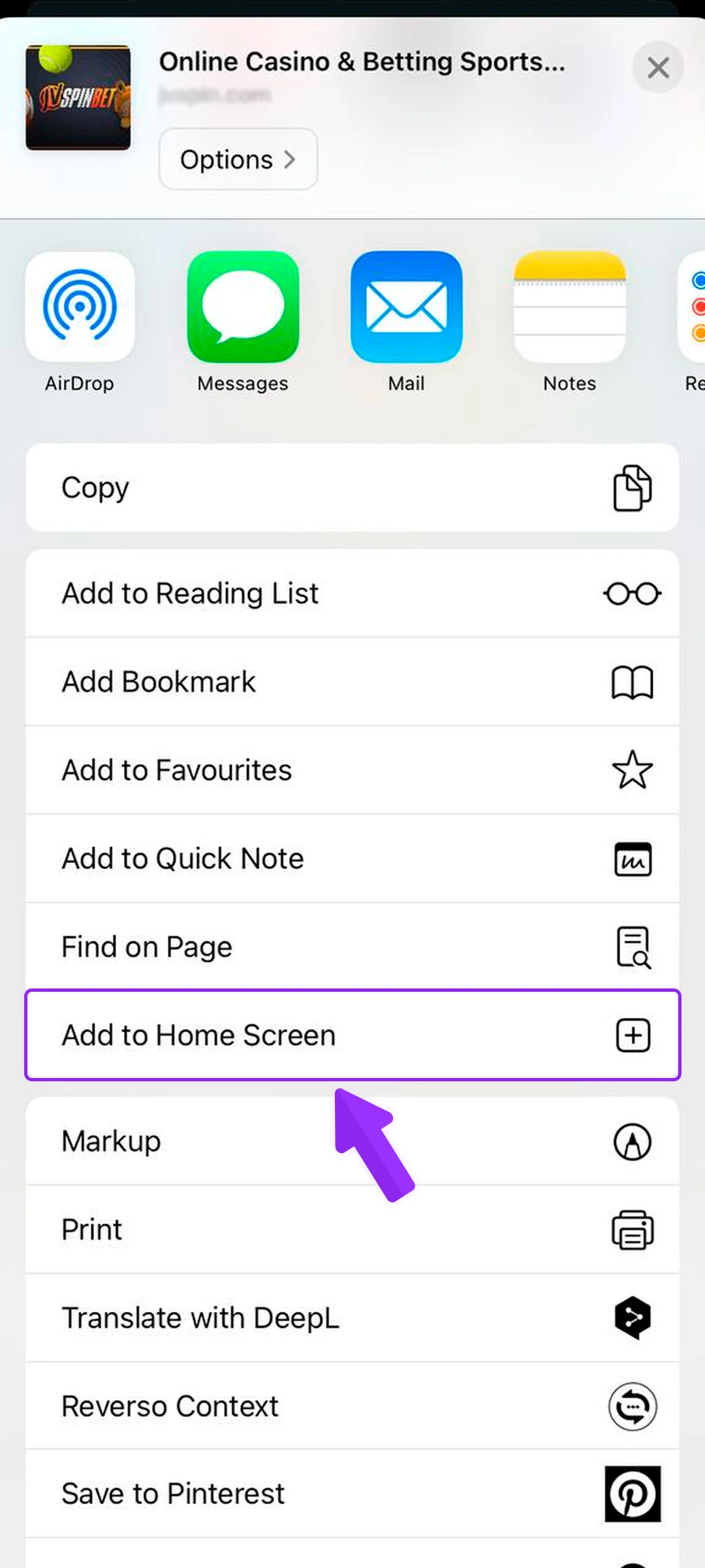 From the options, select “Add to Home Screen”.