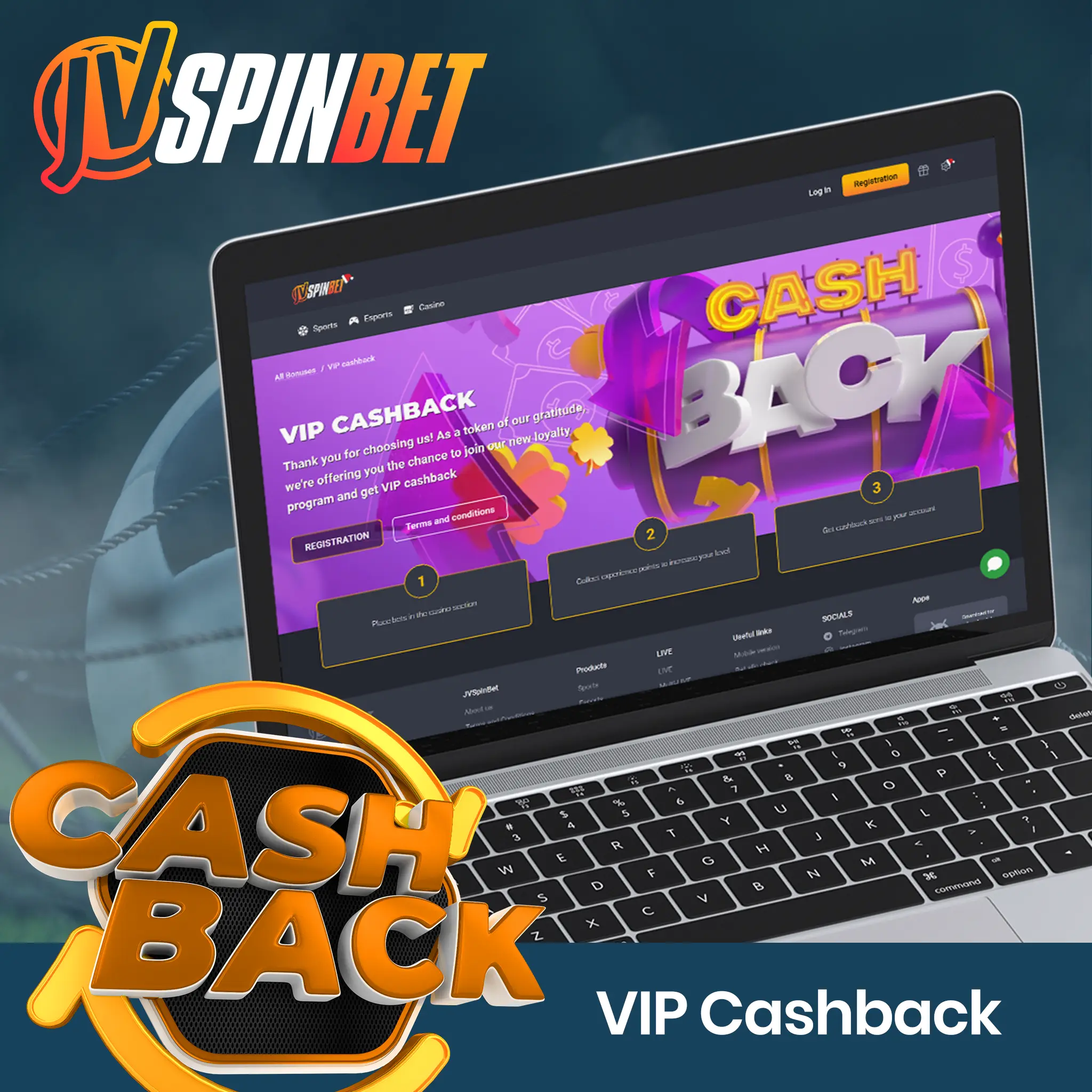 VIP Loyalty Program and Cashback.