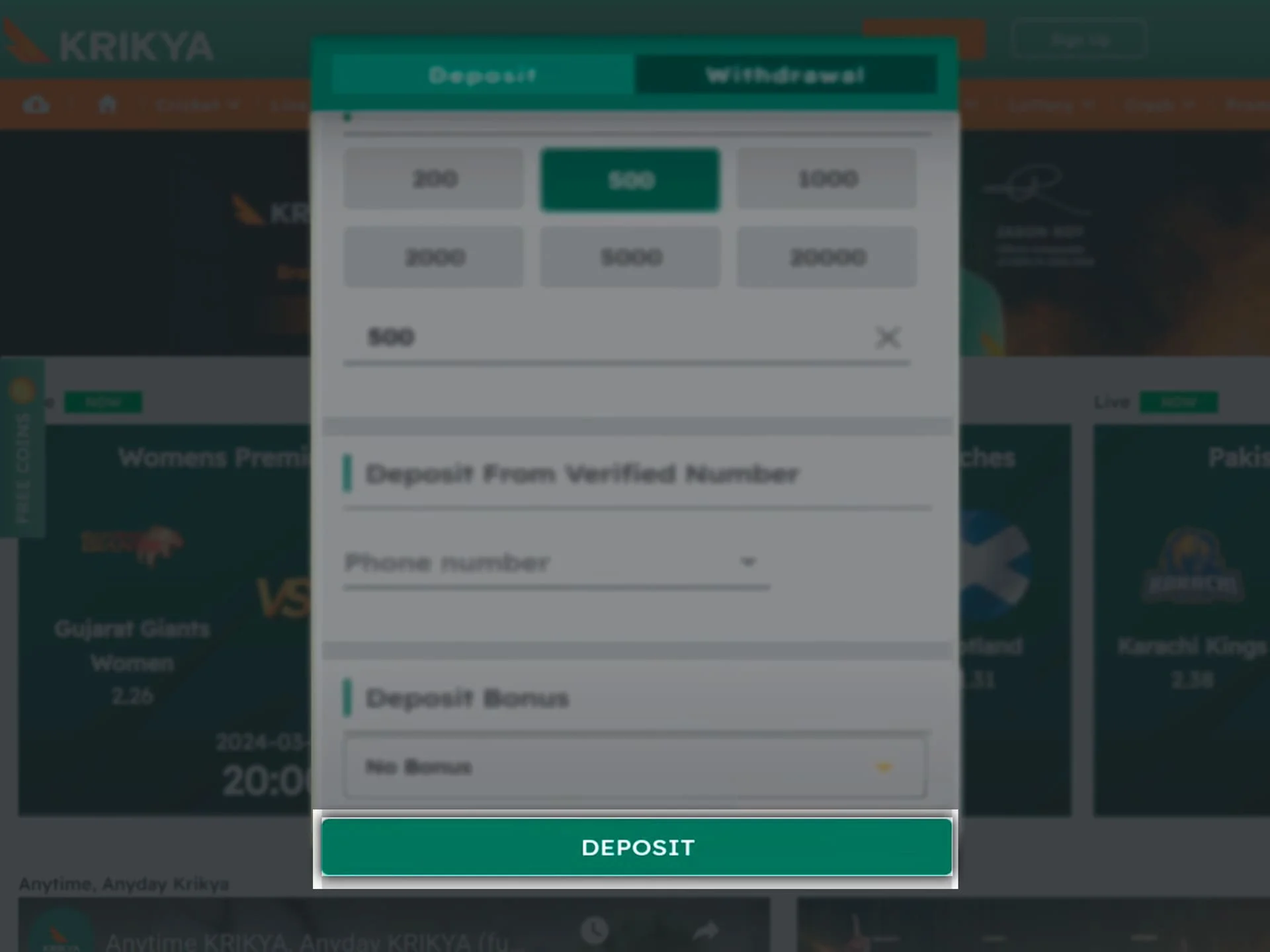 Enter the remaining details and confirm the funding of your Krikya account.
