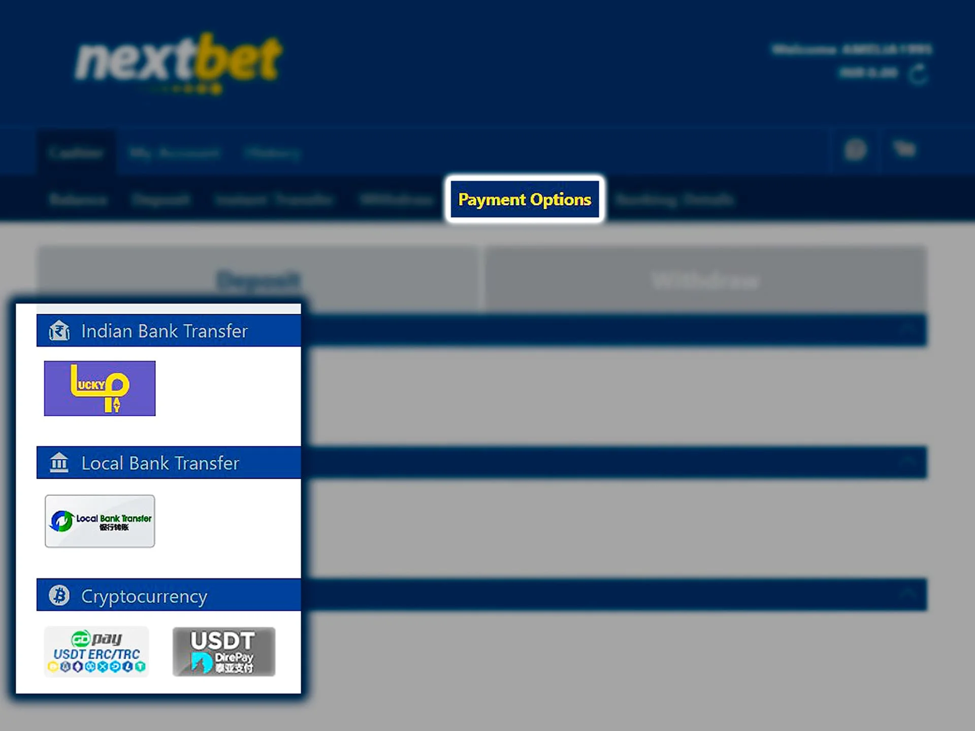 In the opened window choose a convenient way for you to deposit Nextbet account.
