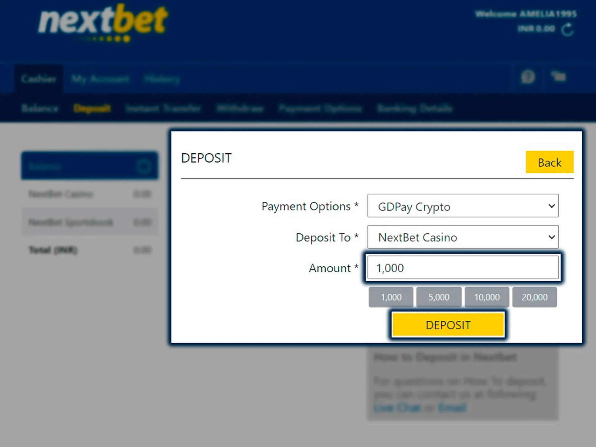Specify the deposit amount and confirm the transaction on Nextbet.