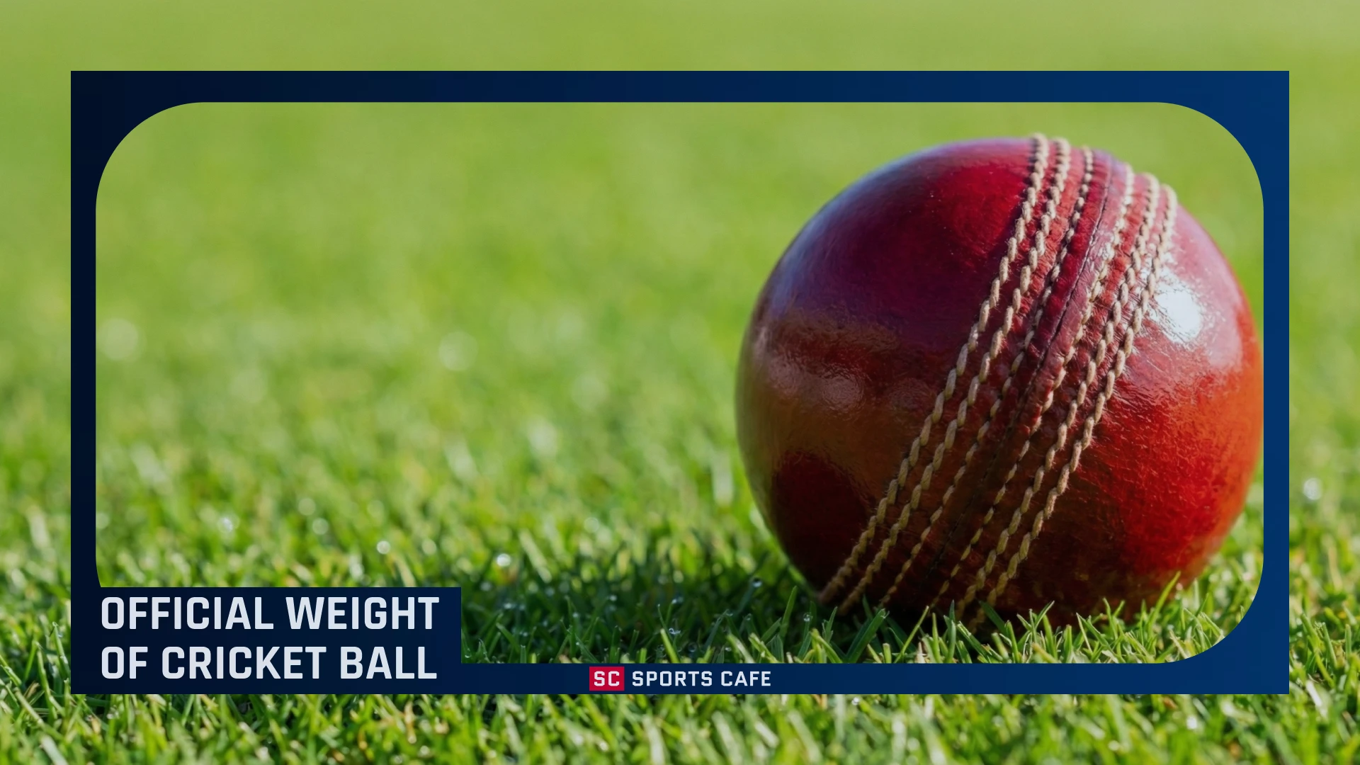 official-weight-of-cricket-ball.
