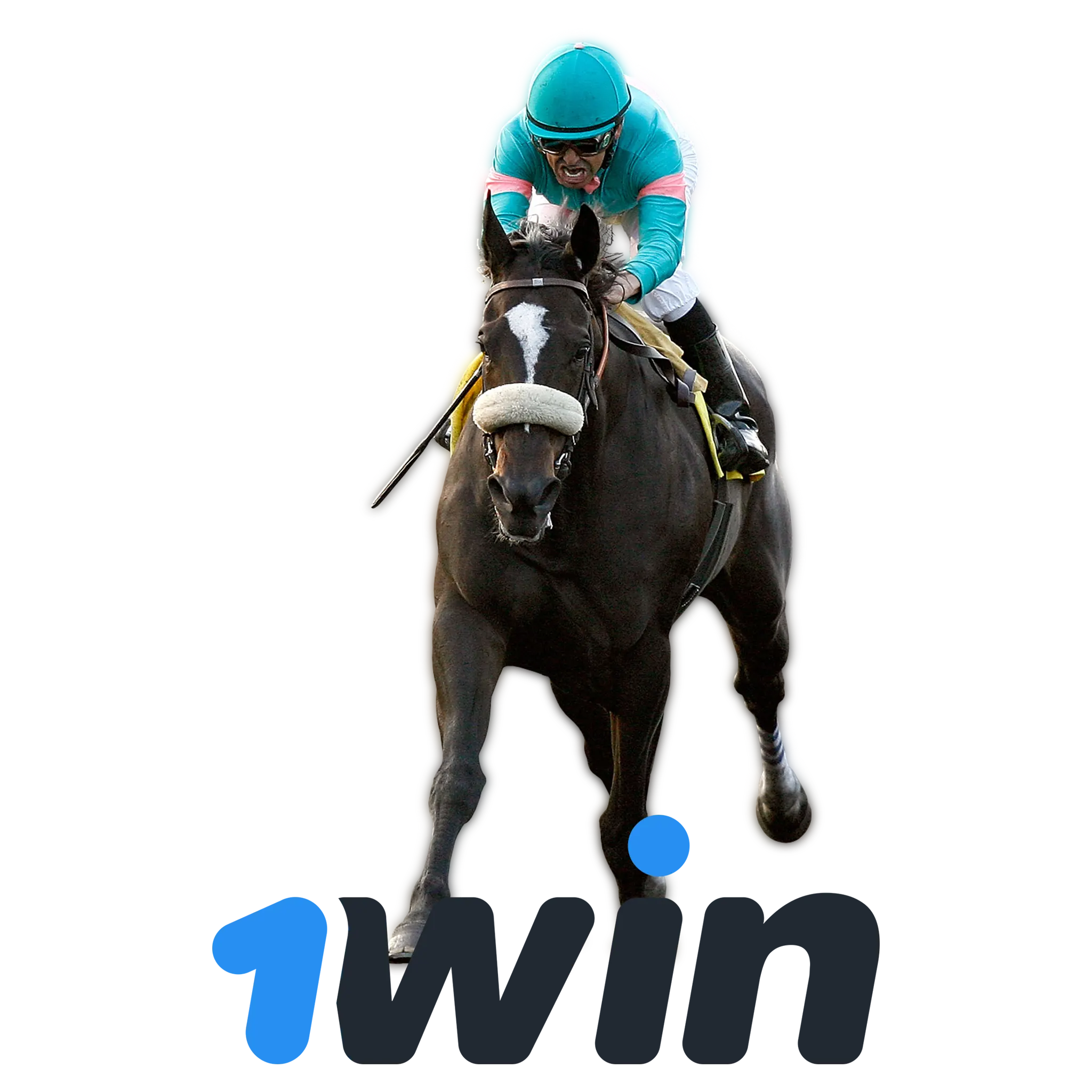 Start betting on horse racing online with 1win!