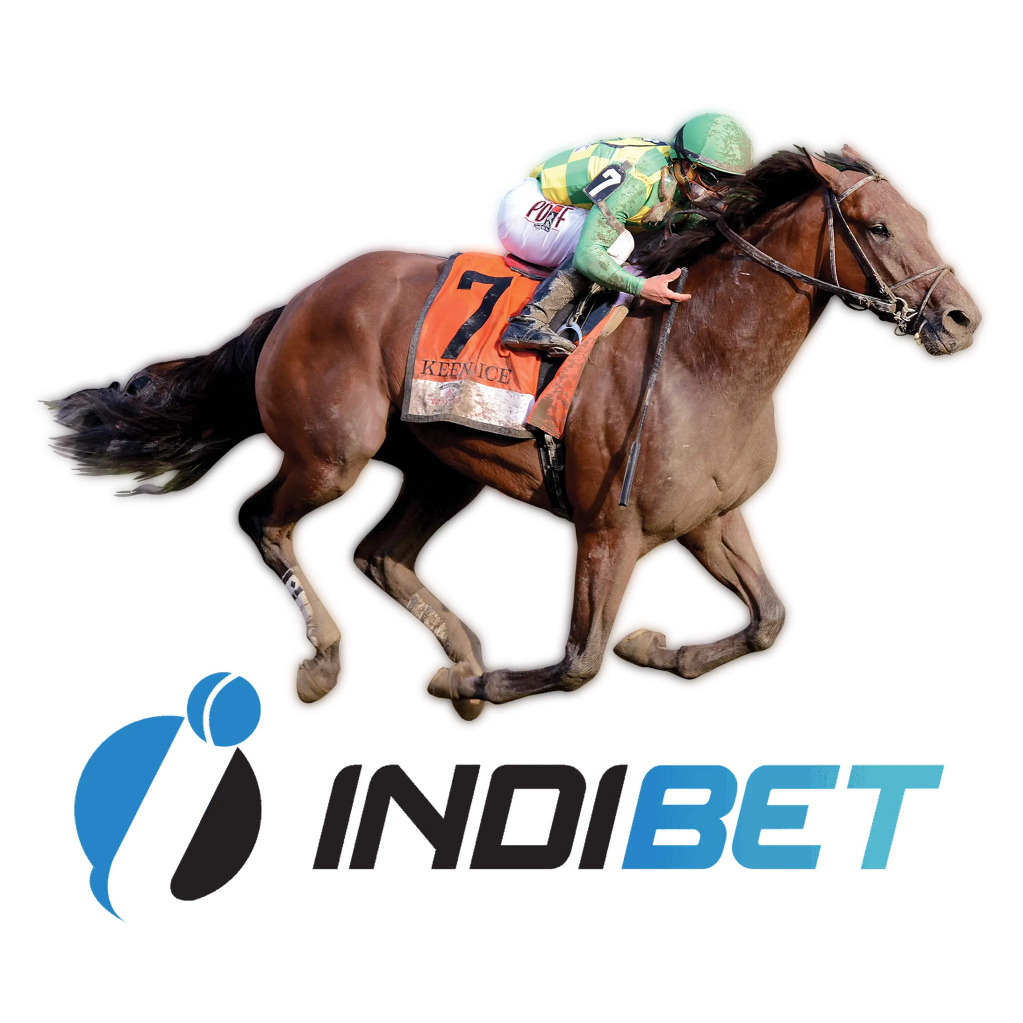 Start online horse racing betting in India with Indibet!