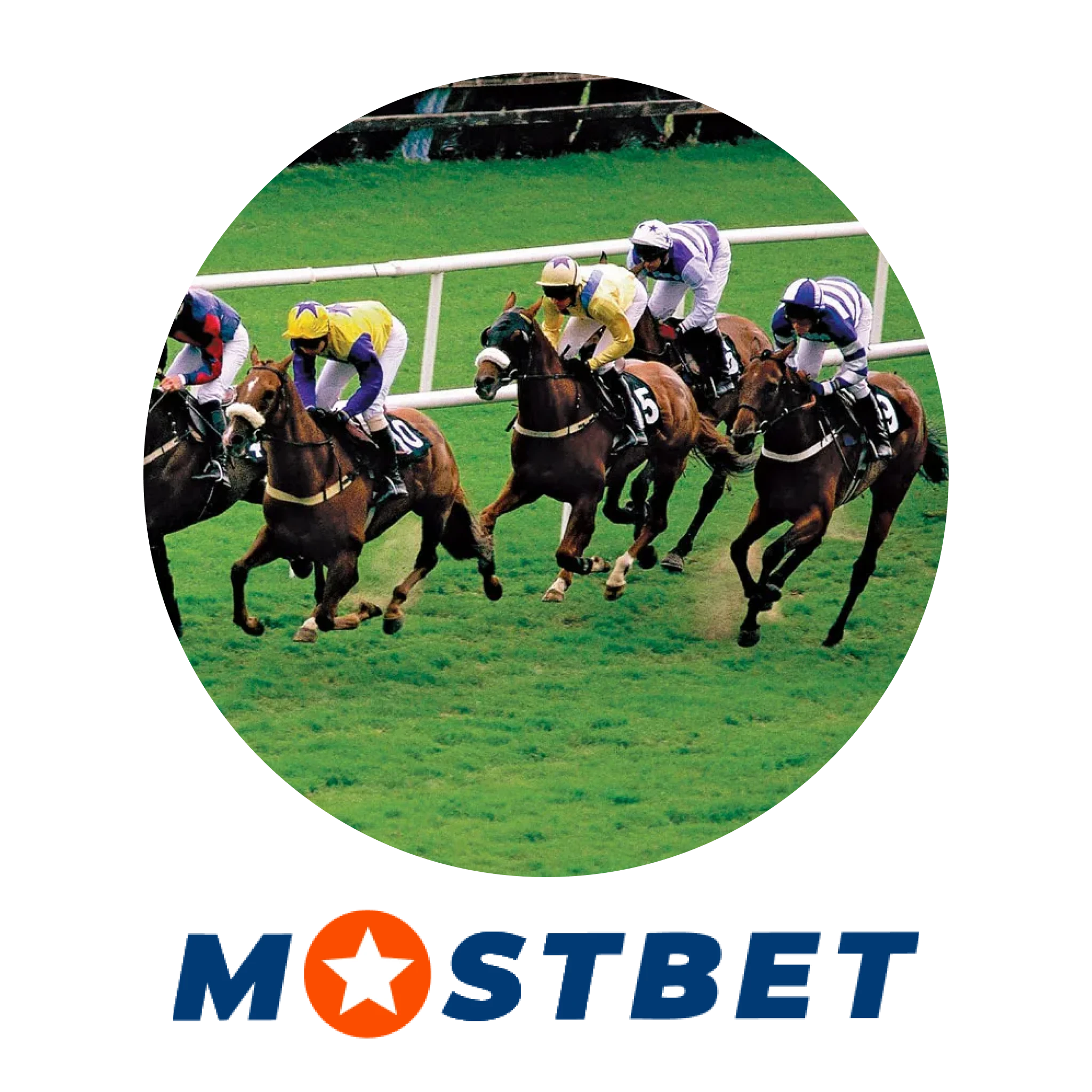 Start online horse racing betting in India with Mostbet!