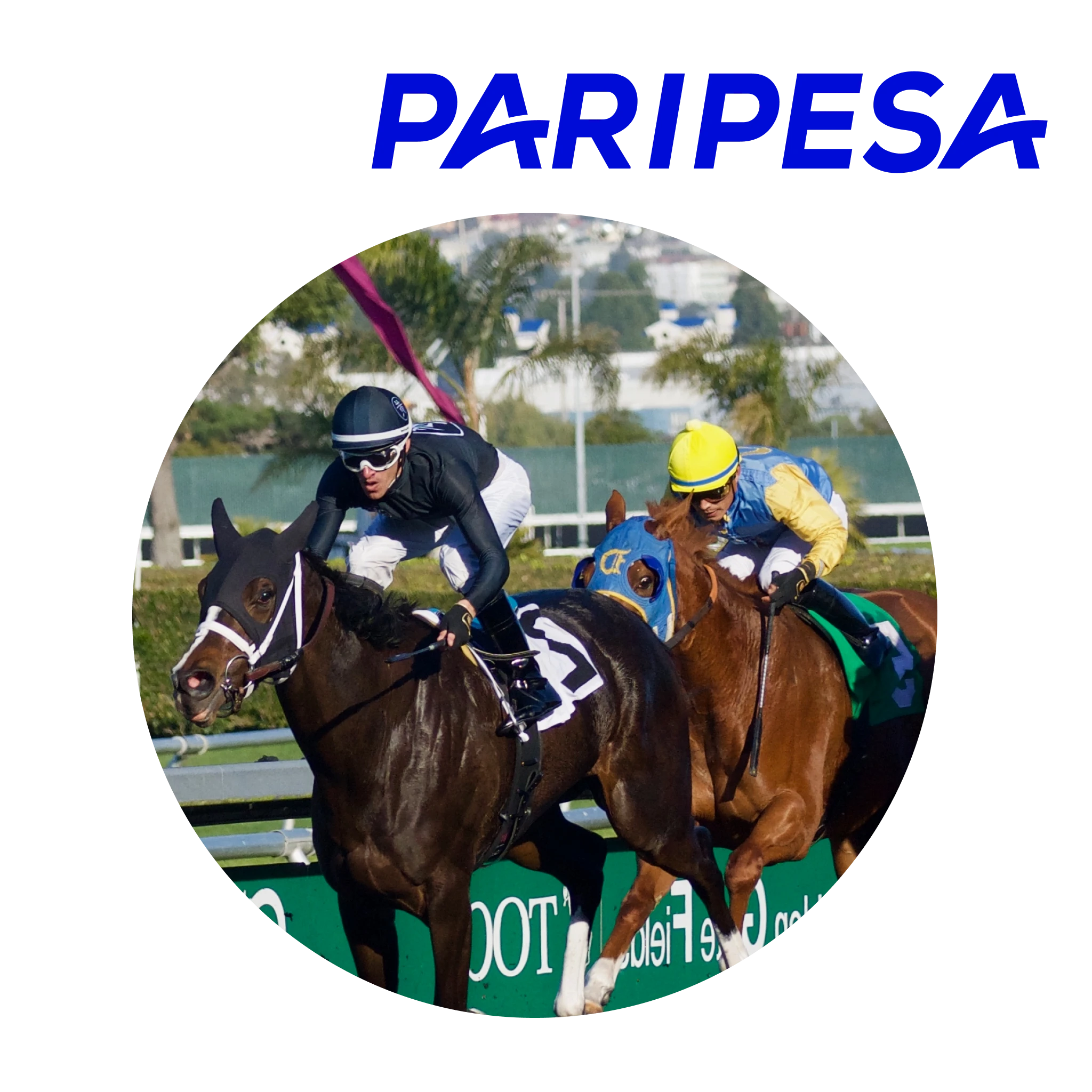 Paripesa offers a feature-rich platform tailored to the needs of horse racing fans.
