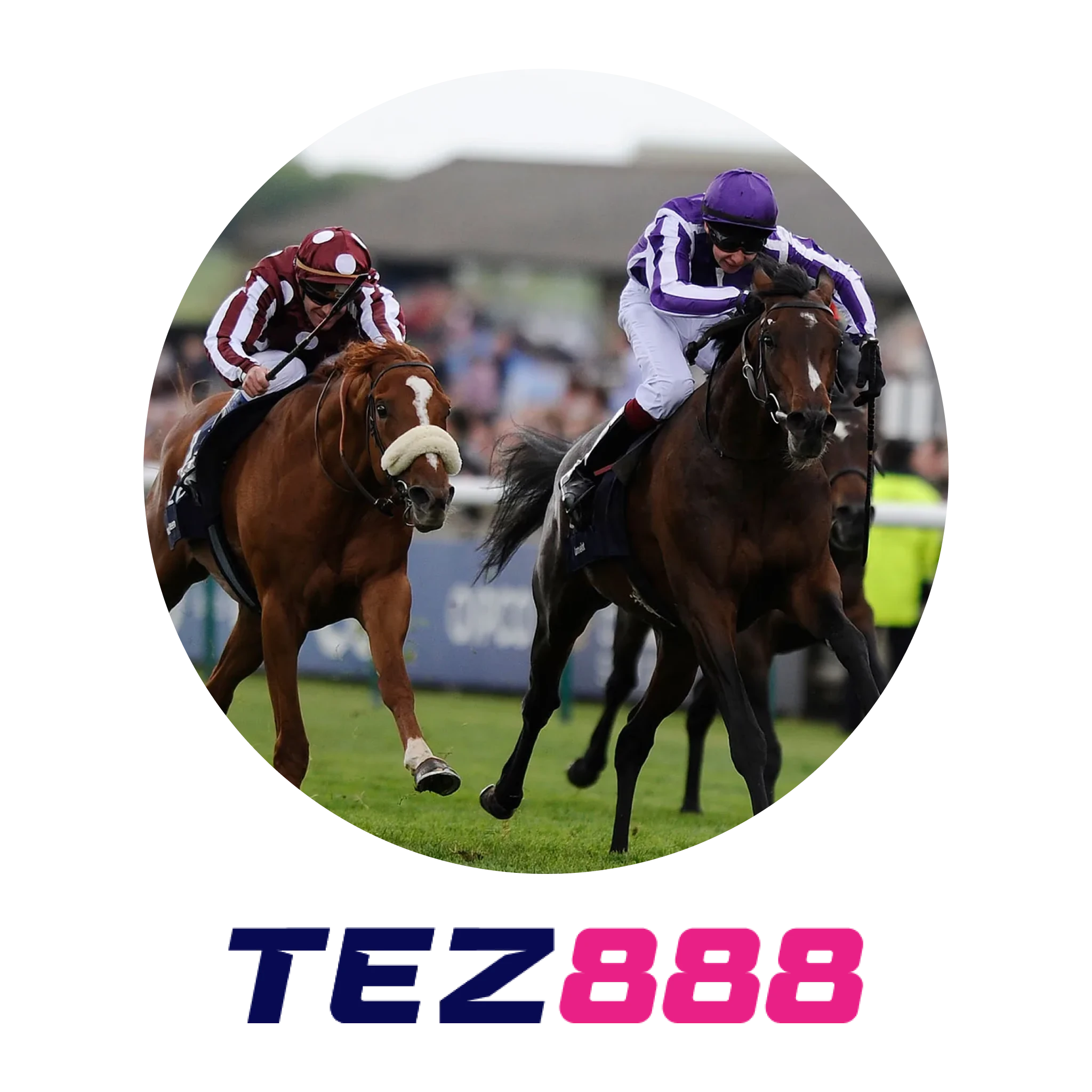 For Indian players, Tez888 stands as the premier choice for online horse racing betting.
