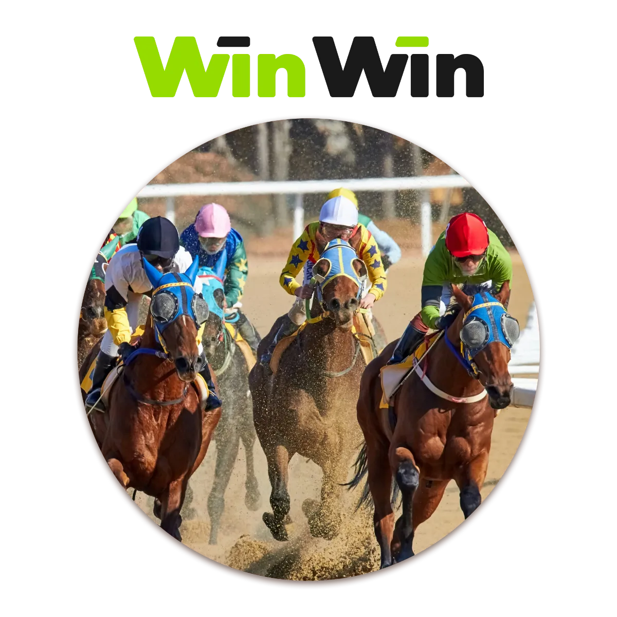 Horse Racing Betting in India 2026 – Full Guide on How to Play and Bet