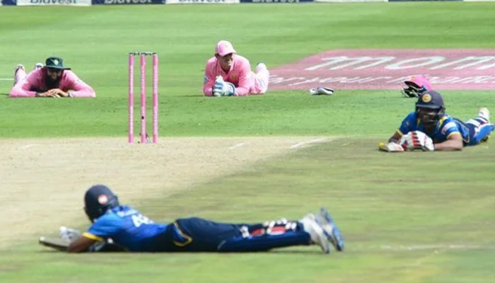 Players laying on the ground after honey bees attacked the cricket field.