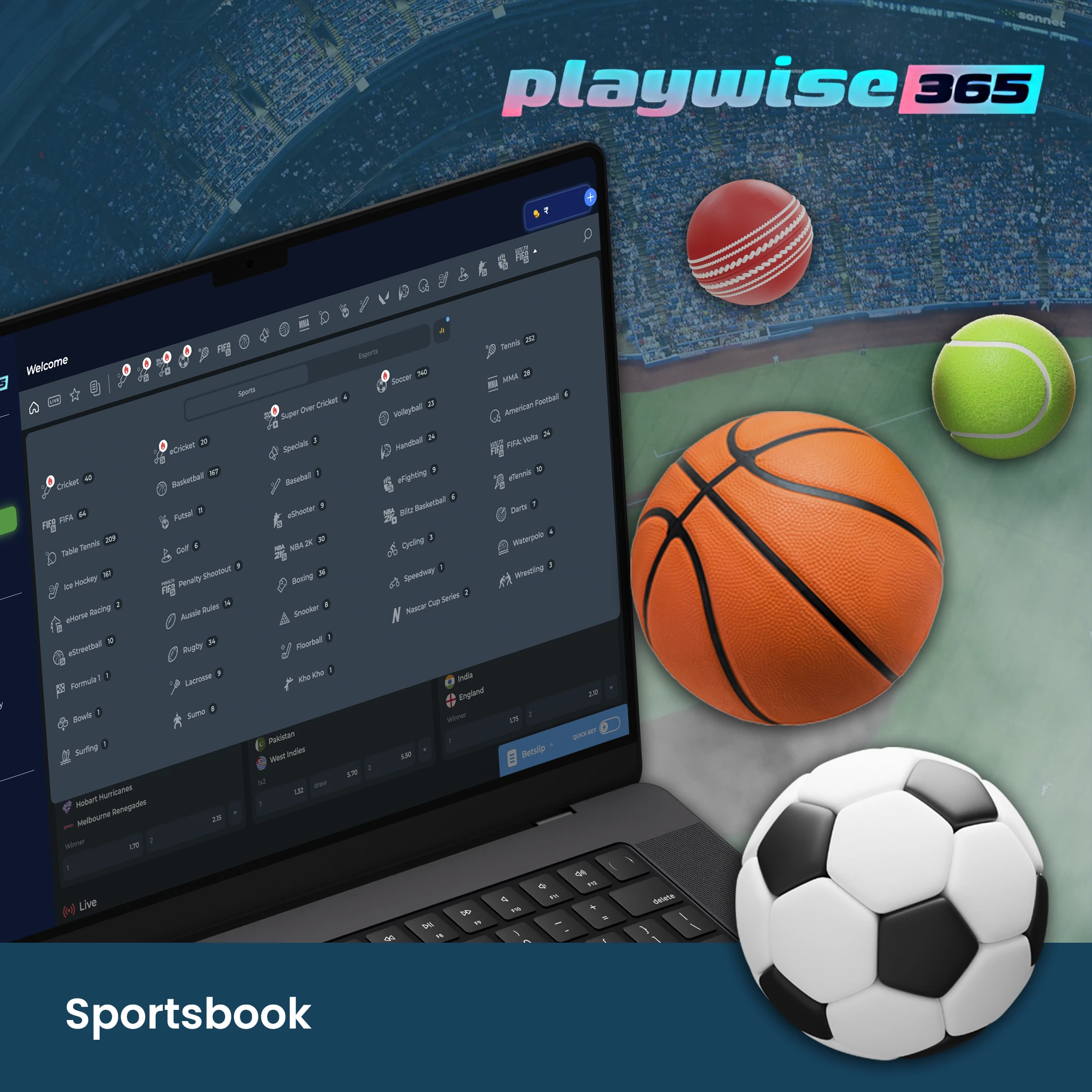 PlayWise365 Sportsbook.