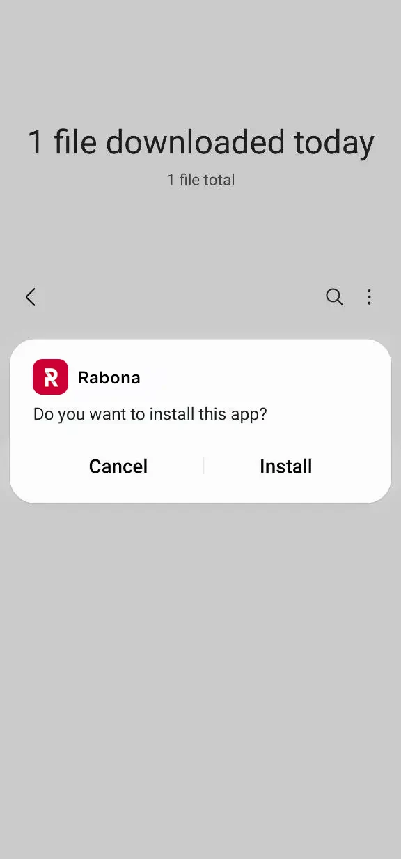 Complete the installation and launch the Rabona application.