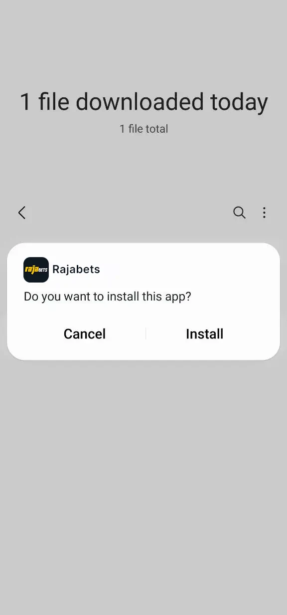 Complete the installation of the Rajabets app.