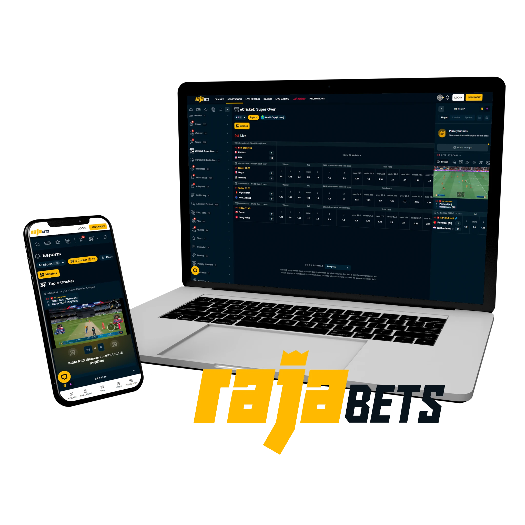 Rajabets — premier Indian esports bookmaker with localized promotions.