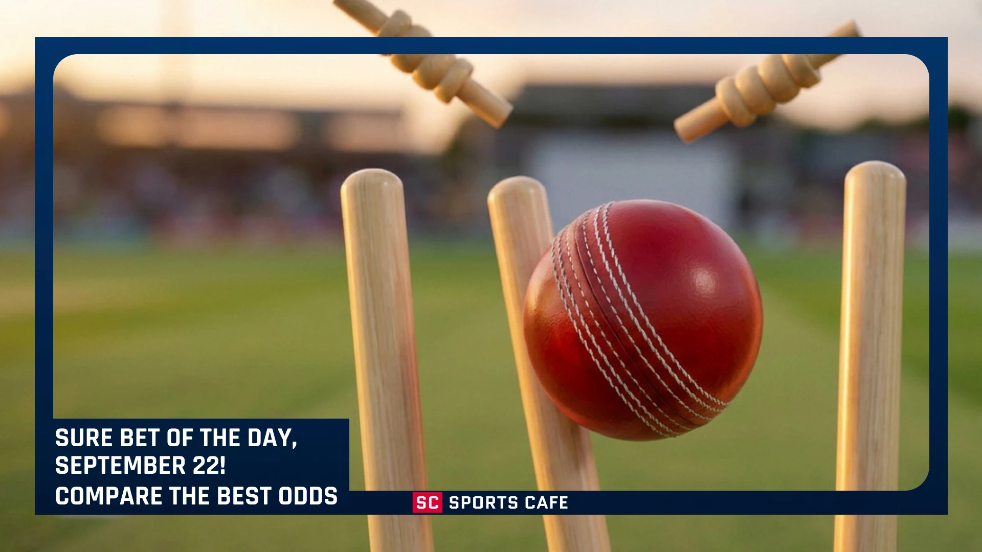 Best Cricket Bet of the Day September 22.