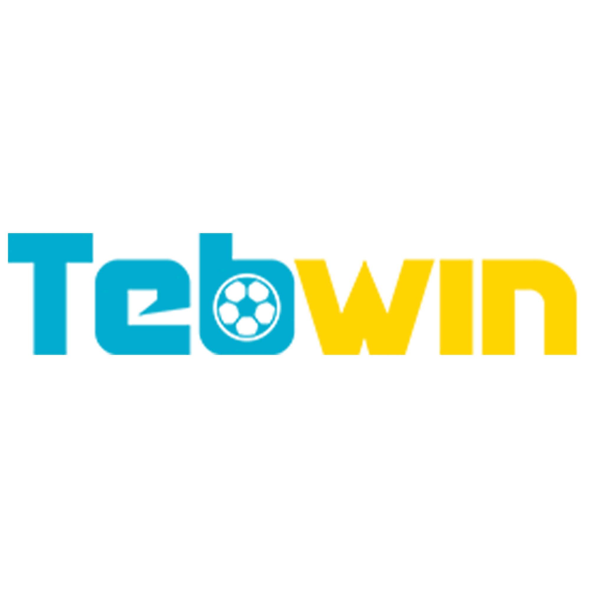 Tebwin App