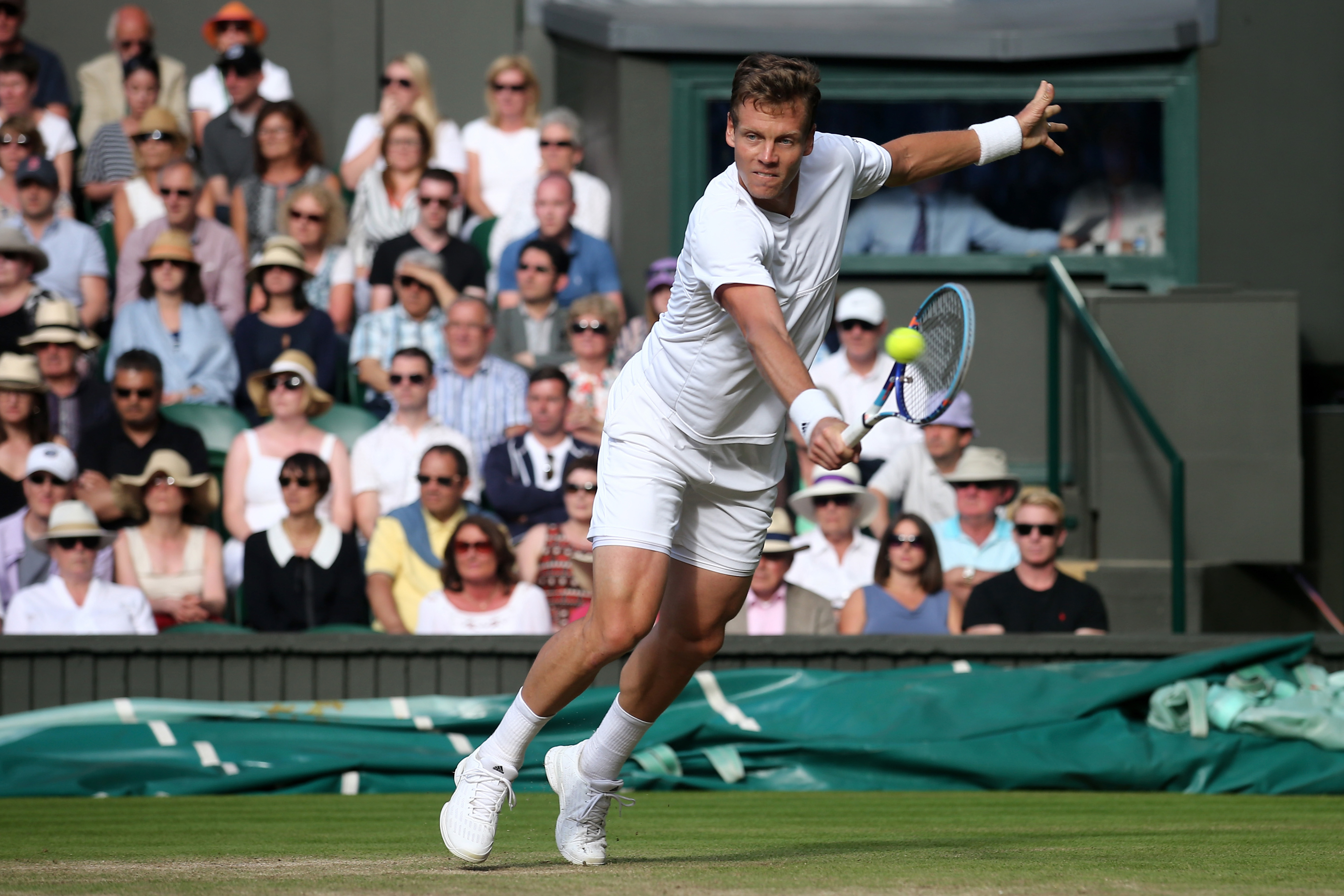 Tomas Berdych sacks Goran Ivanisevic as coach