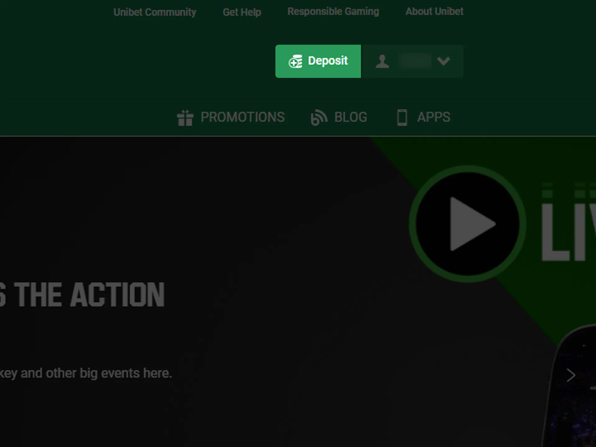 Go to the Unibet deposit section.