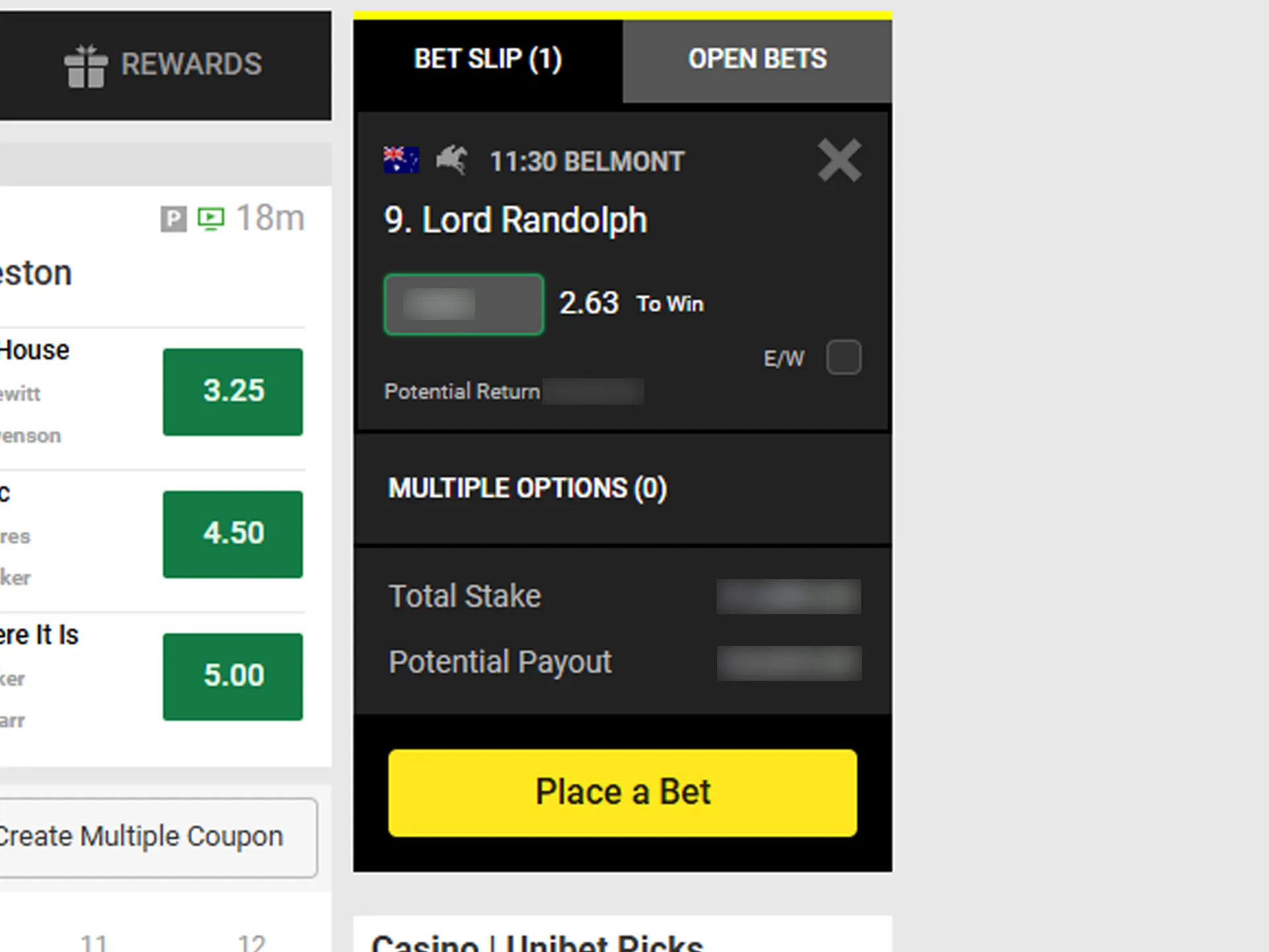 Place a bet on a horse race at Unibet.