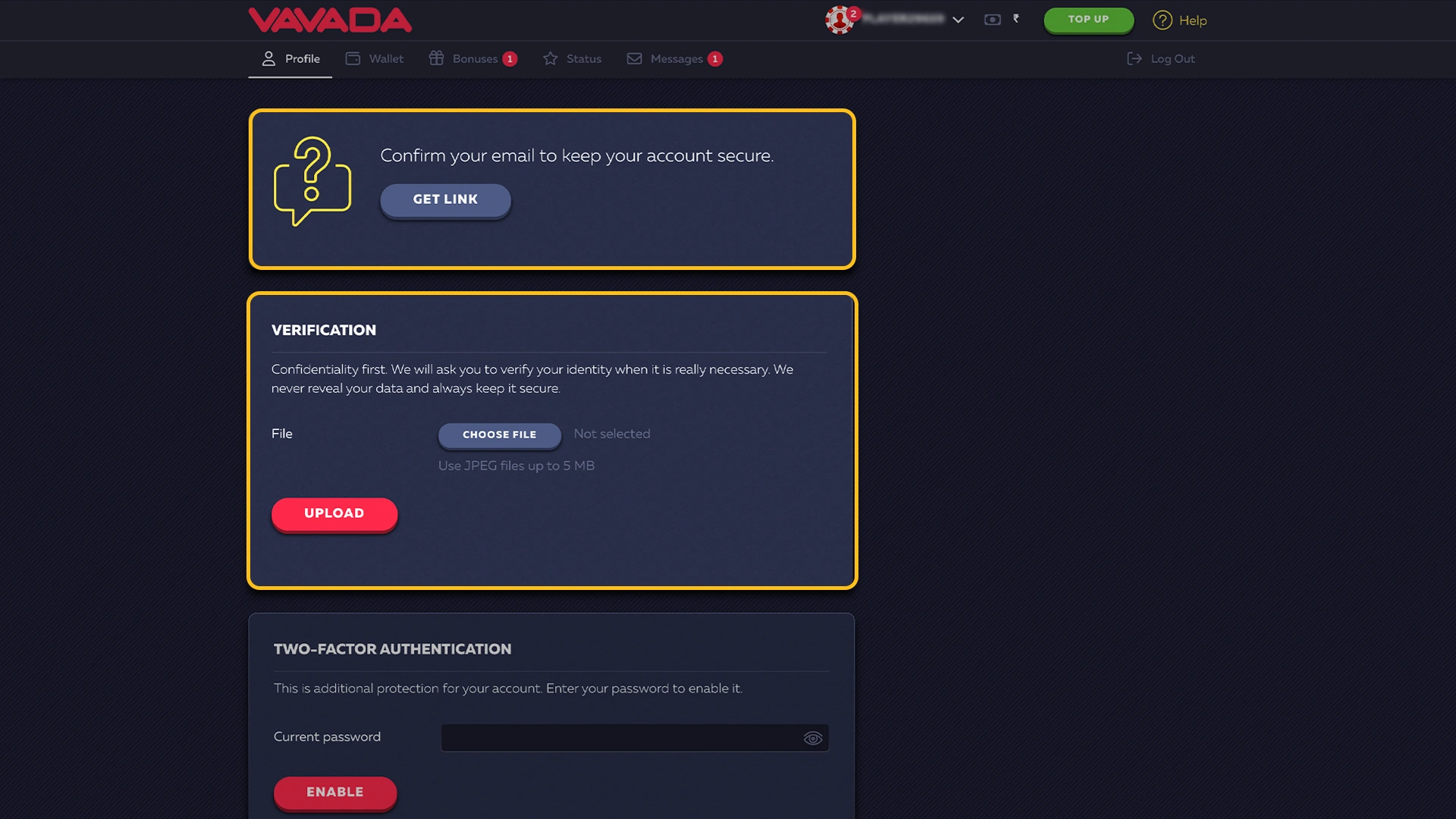 Confirm your personal data and get bonuses from Vavada.